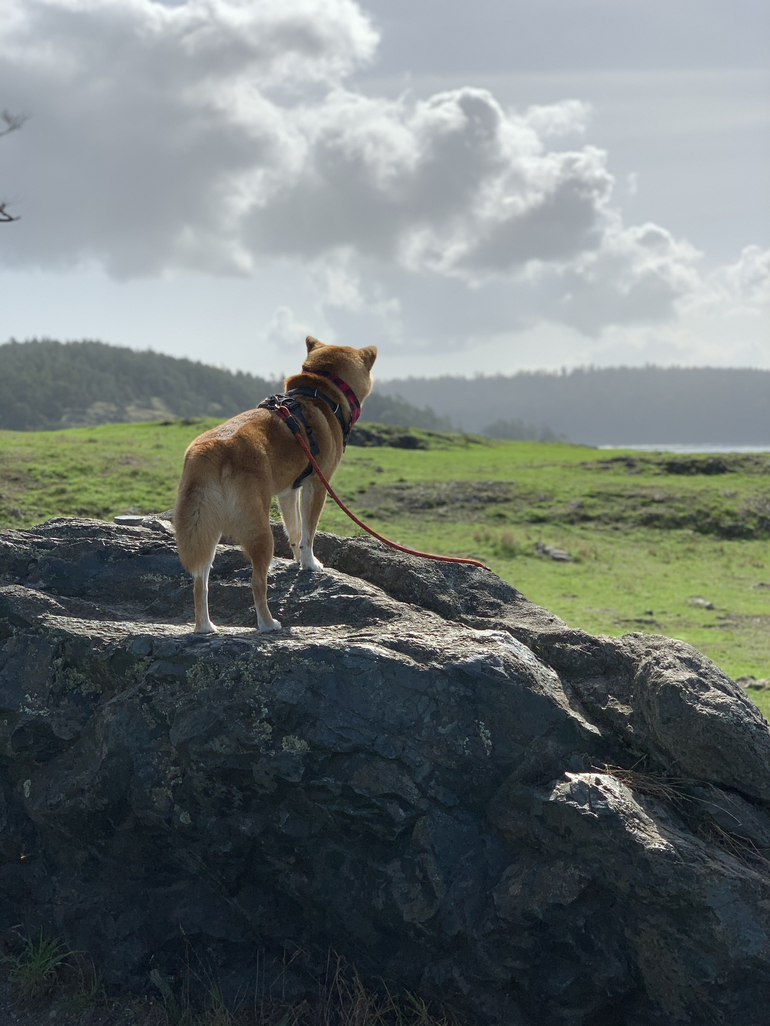 Markus enjoying the view on Rosario Head Trail in Washington