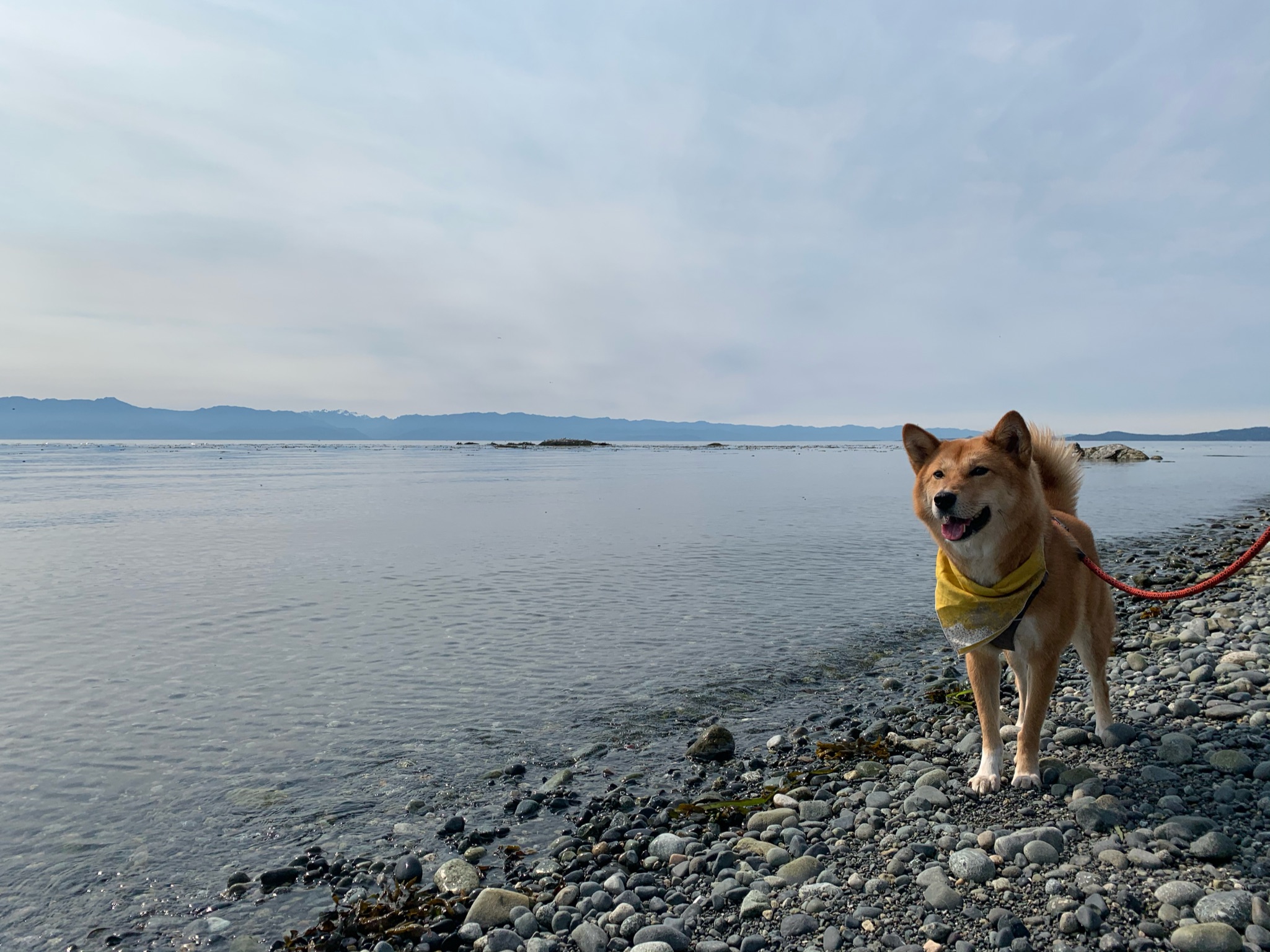 Markus standing by the still waters by Holland Point Park