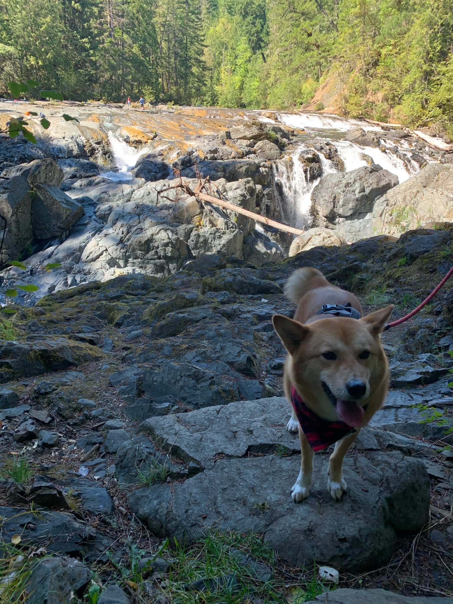 Englishman River Falls
