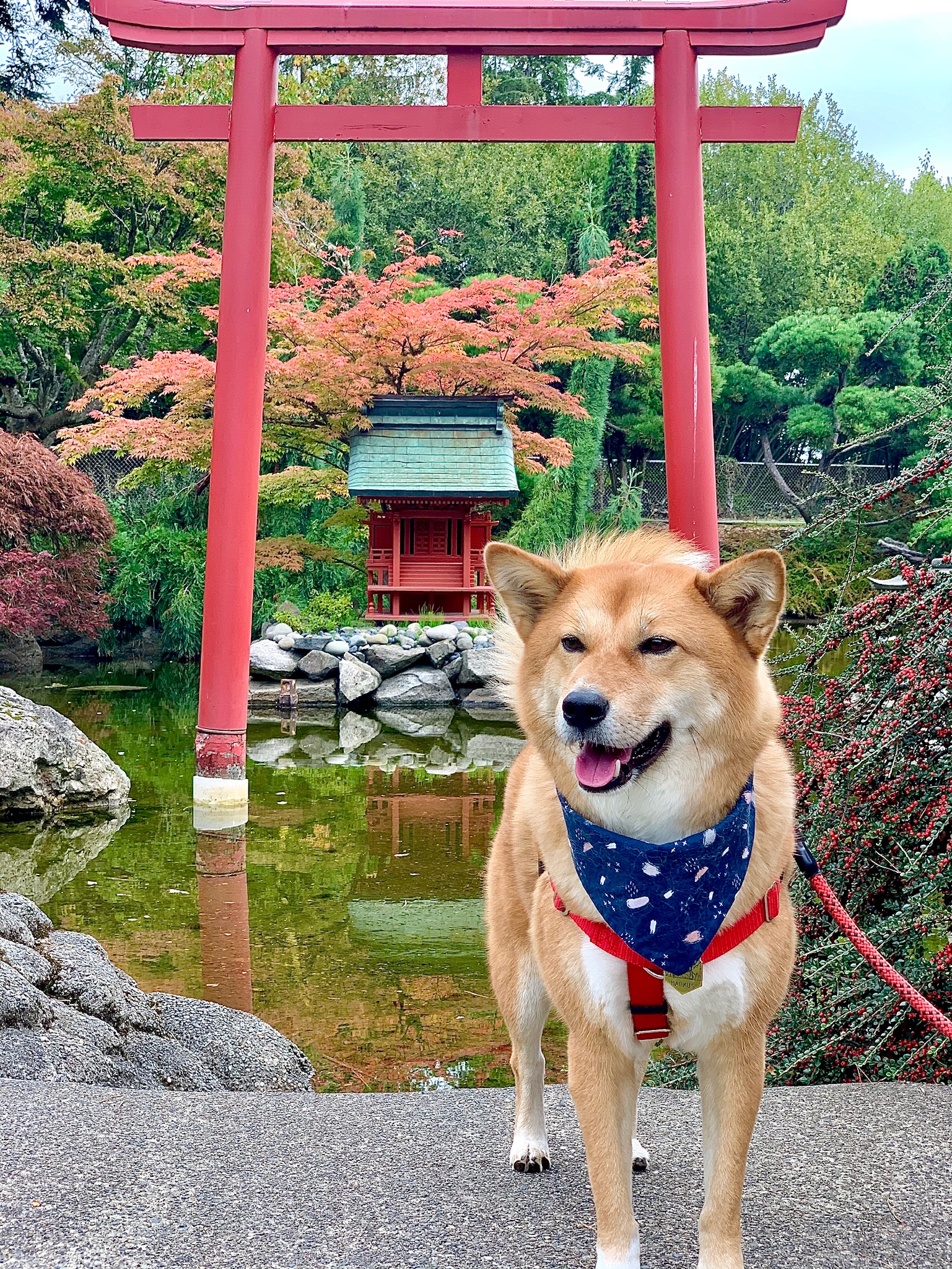 Markus posing in front of the Point Defiance Pagoda by the Japanese Garden