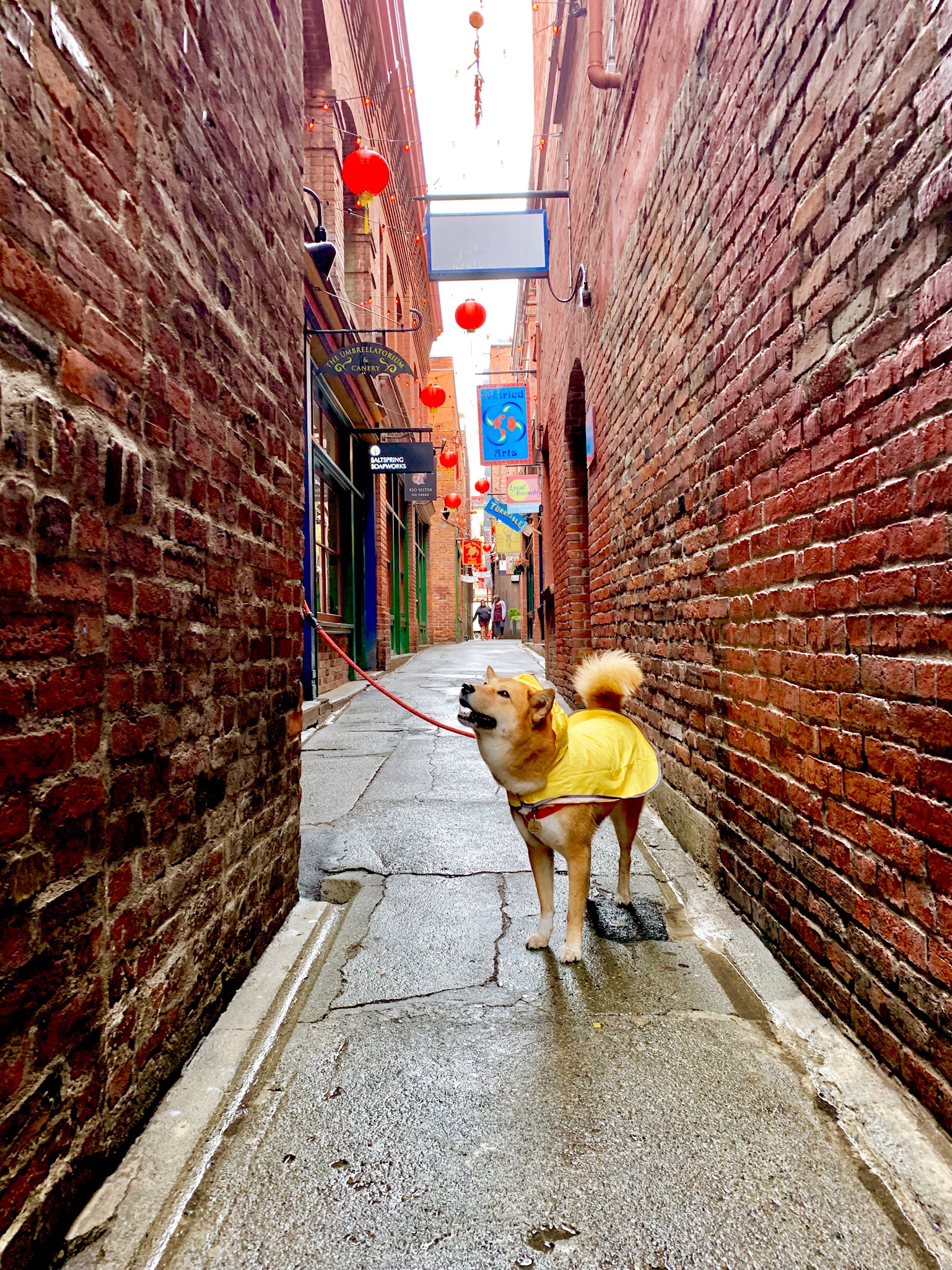 Qualicum Beach, Parksville & Nanaimo on Vancouver Island