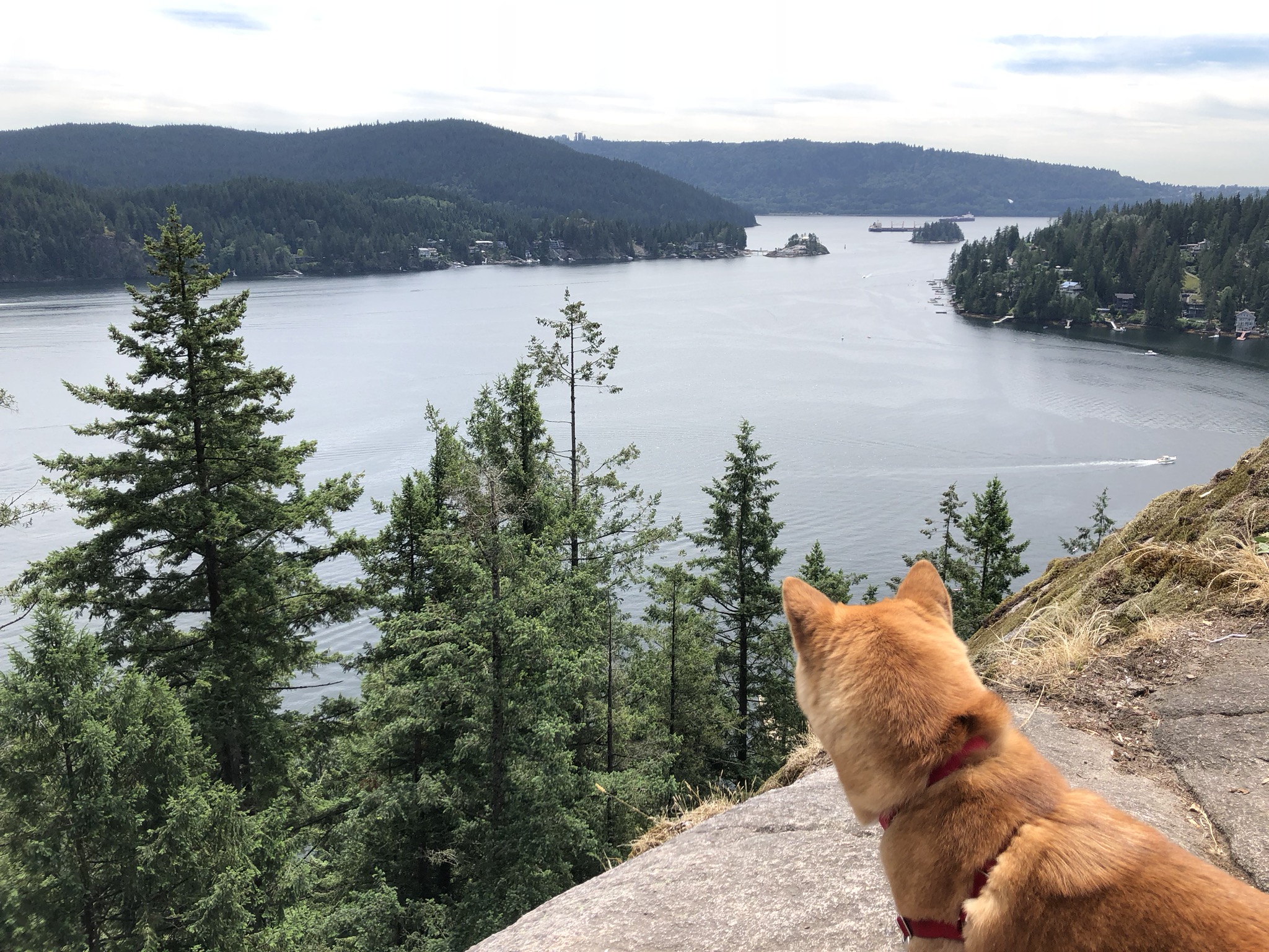 Markus standing at the top of  Quarry Rock  after a hike at Deep Cove, British Columbia