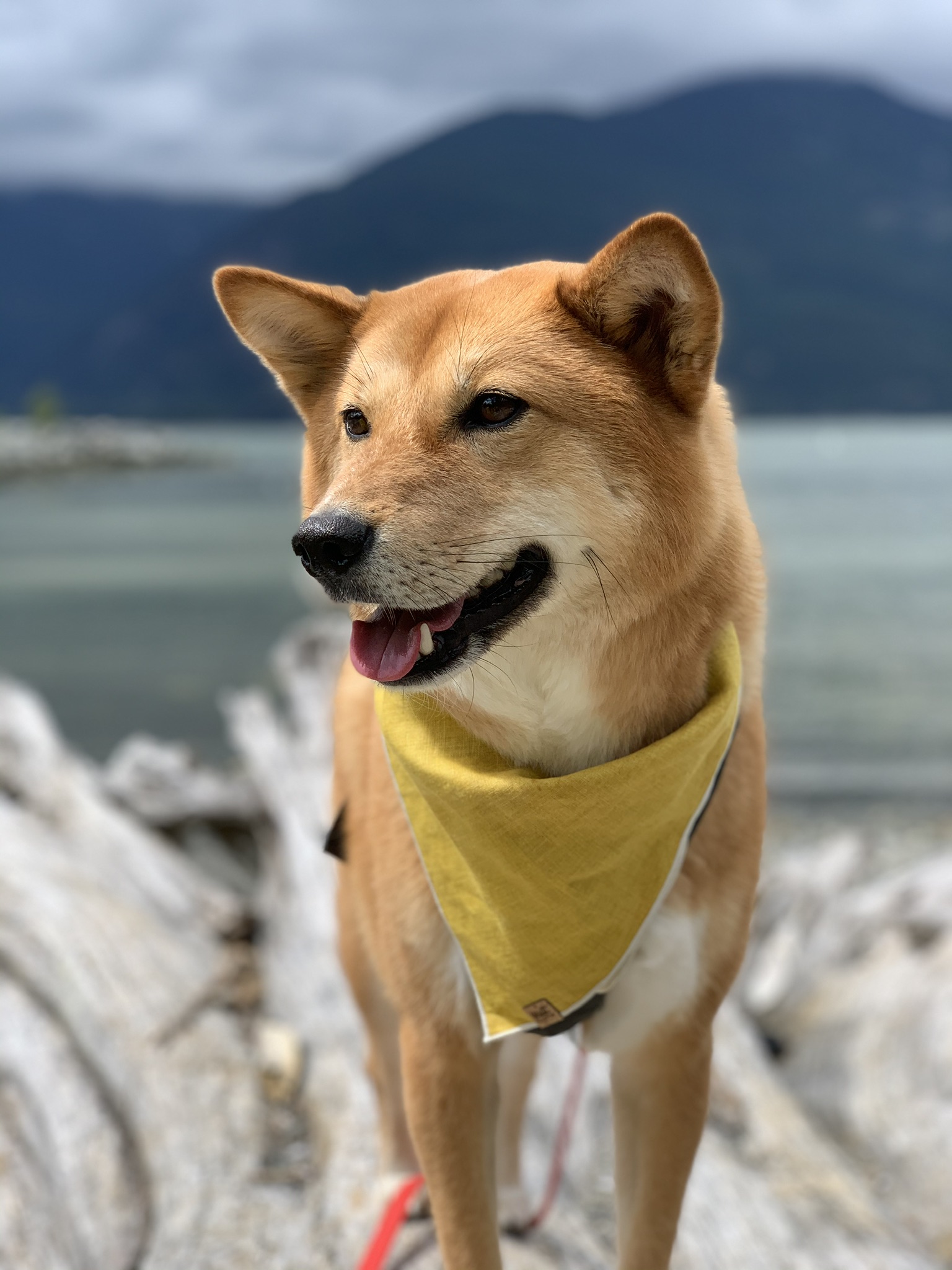 Markus playing on the beach on the right side of the parking lot at Porteau Cove