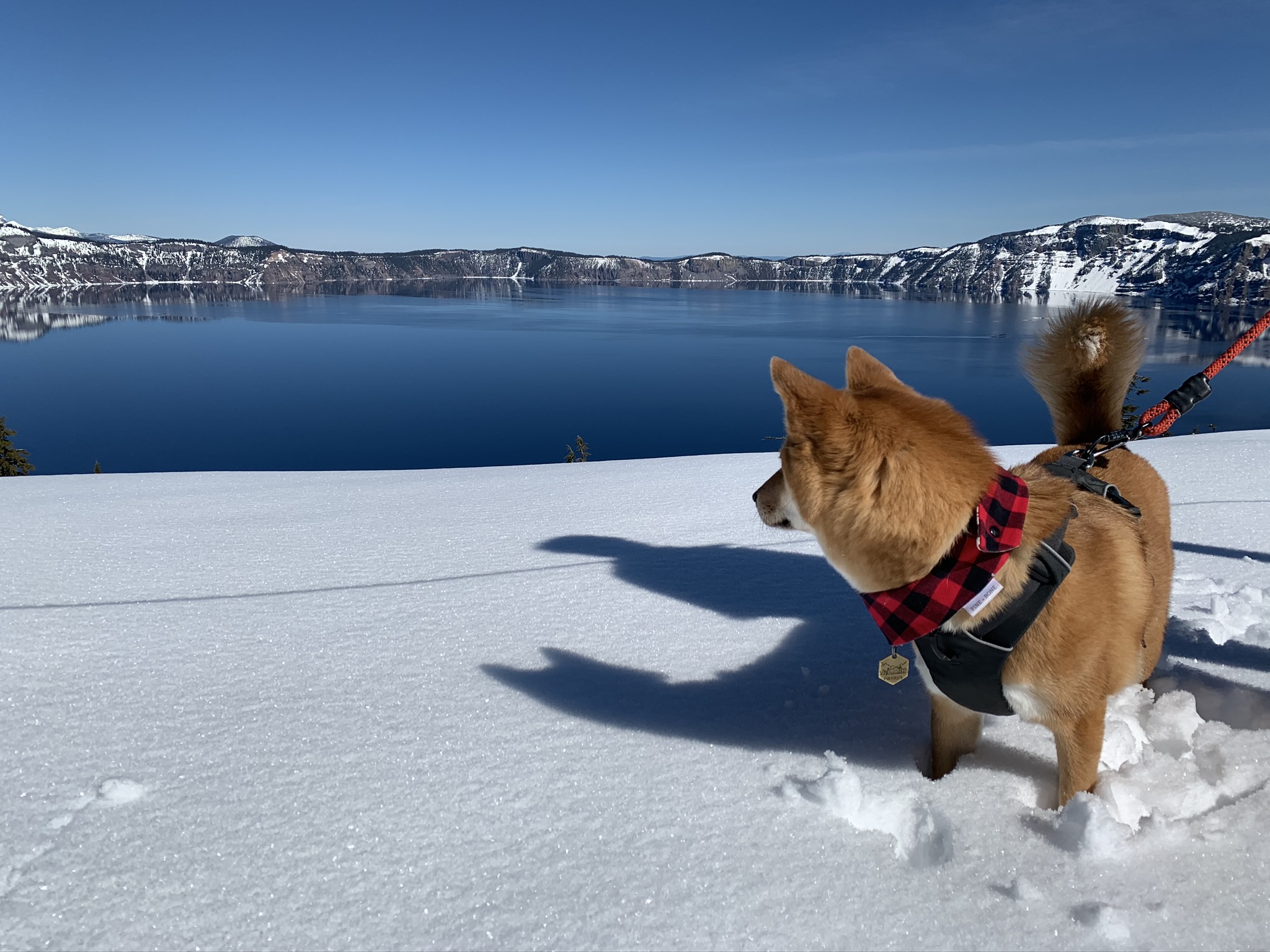 Markus stomach-deep in snow quietly admiring Crater Lake, Oregon