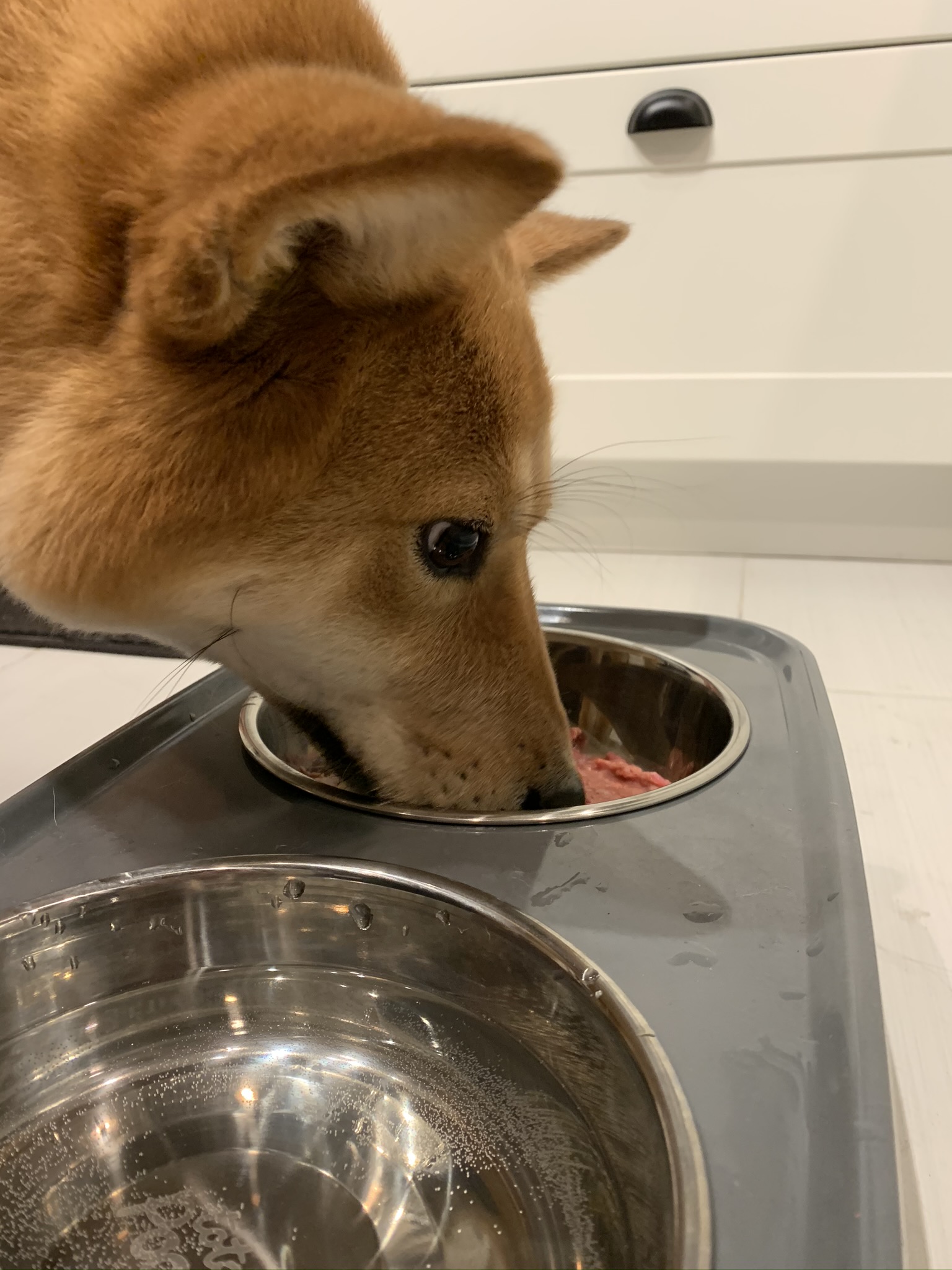 The Cost of Switching to the Raw Food Diet