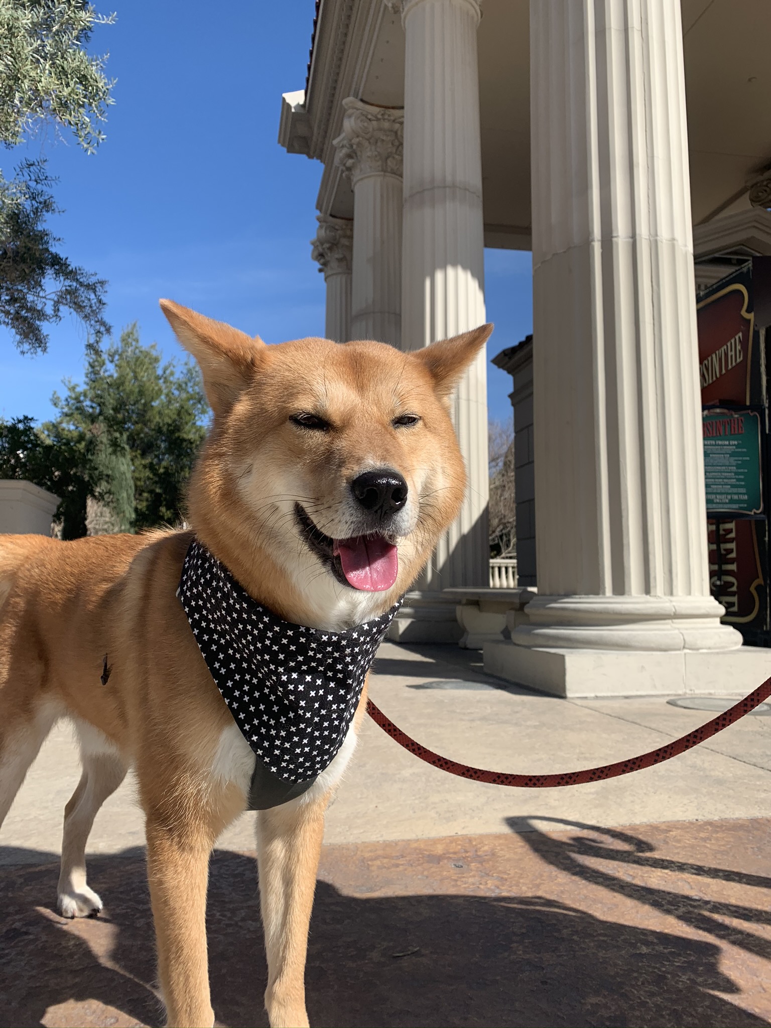 Markus outside of Caesar’s Palace in Las Vegas