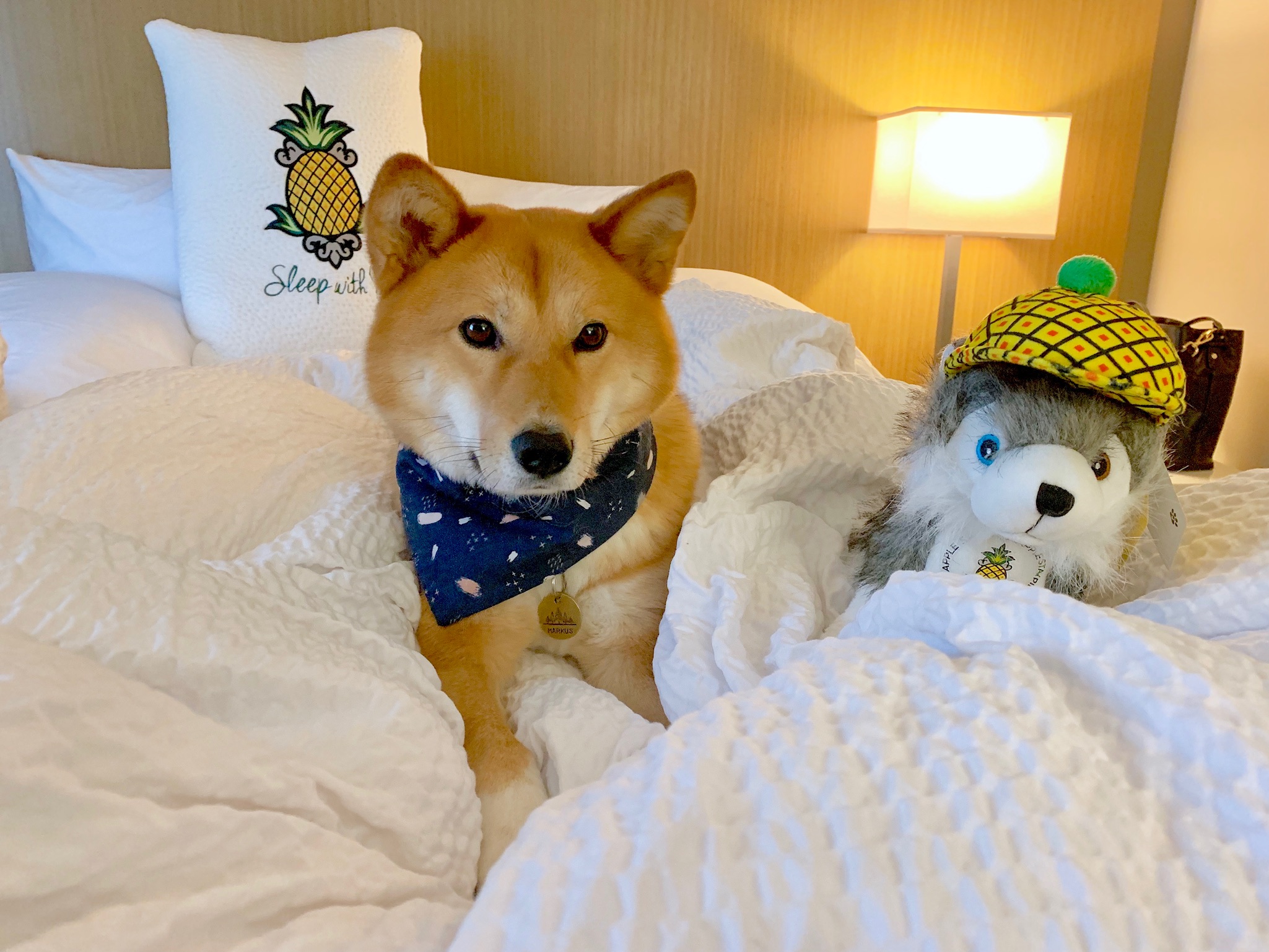 Markus resting with his new friend, the mascot from the Hotel Rose - A Staypineapple Hotel in downtown Portland