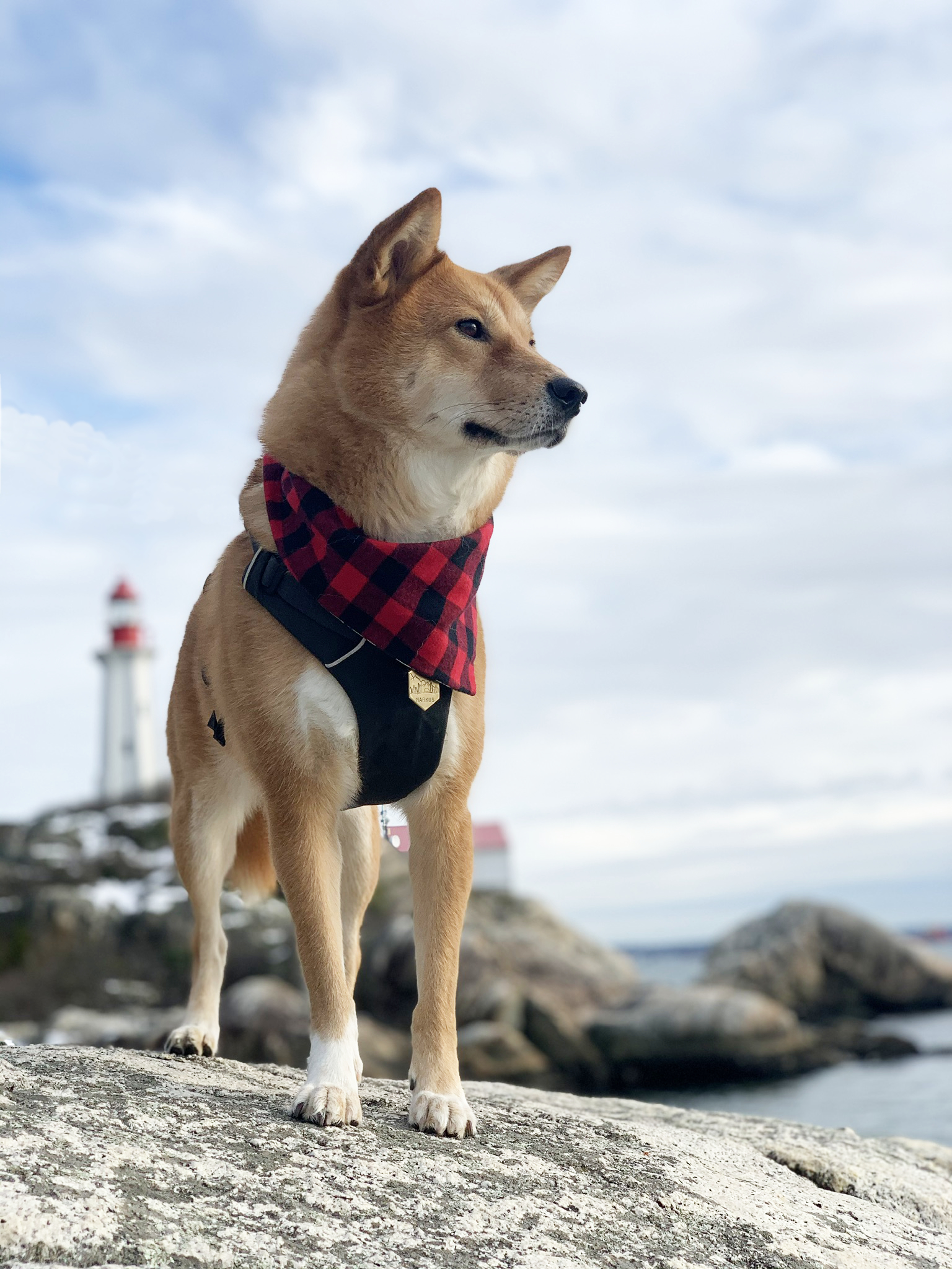 Markus at a lighthouse
