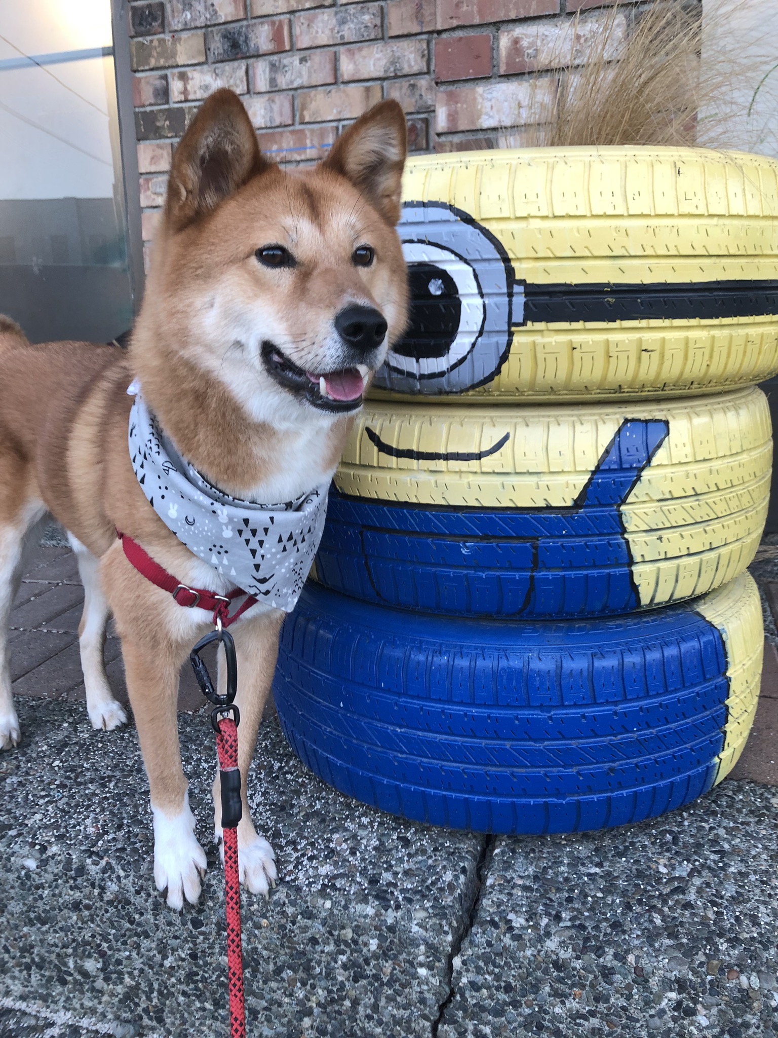 Playing in the Snow & Parks, Parks, Parks