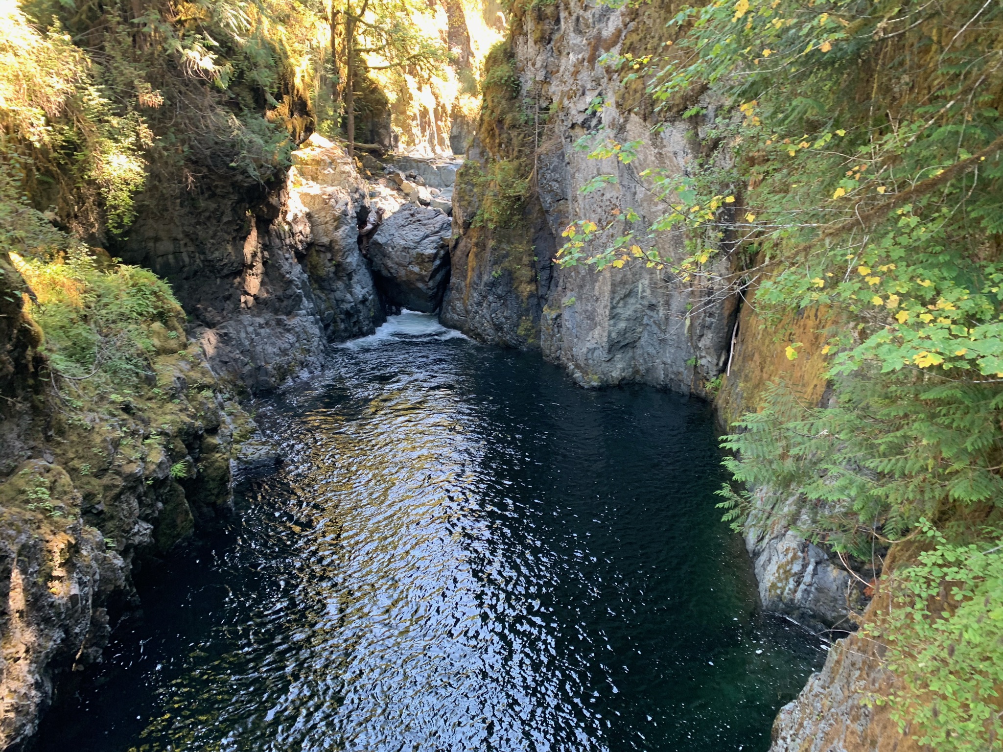 A view from the other side of the suspension bridge at Englishman River Falls