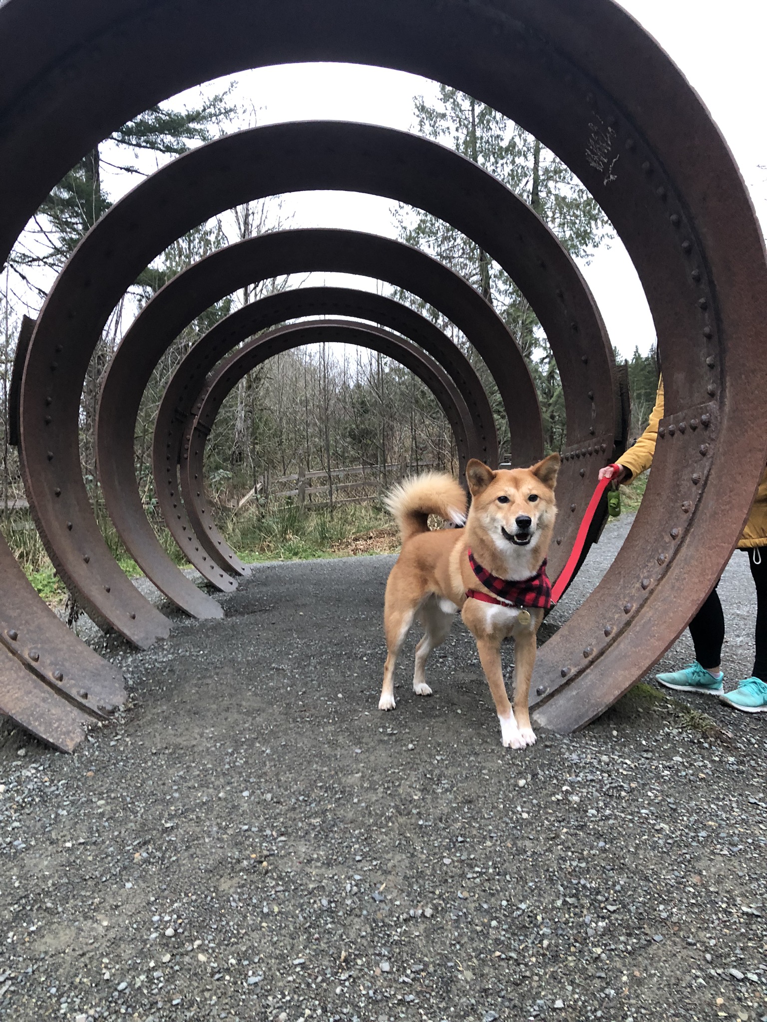 Markus posing in front of the old mechanical structures from the power plant at Snoqualmie Falls