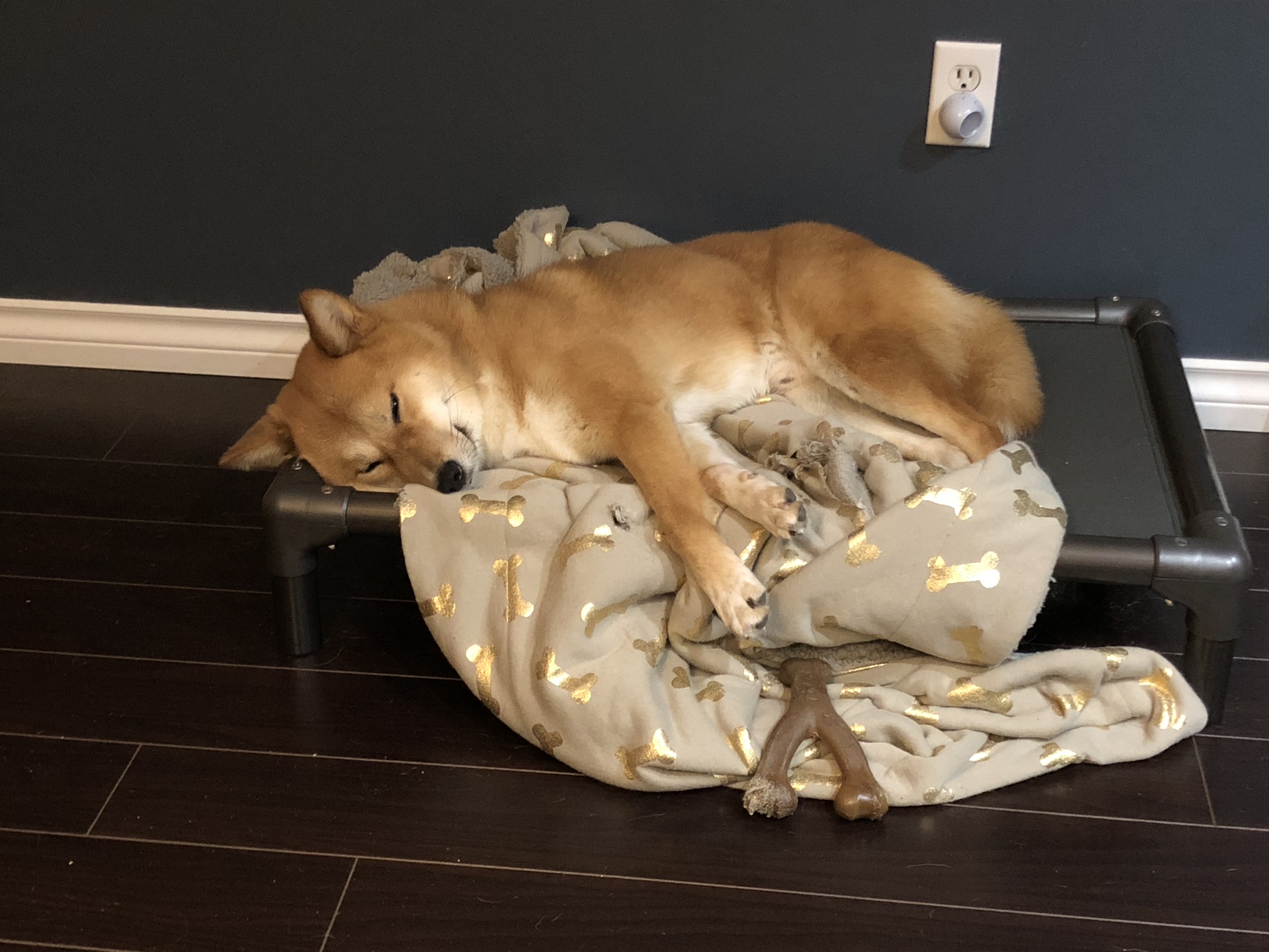 Markus is absolutely exhausted after playing with his BeneBone