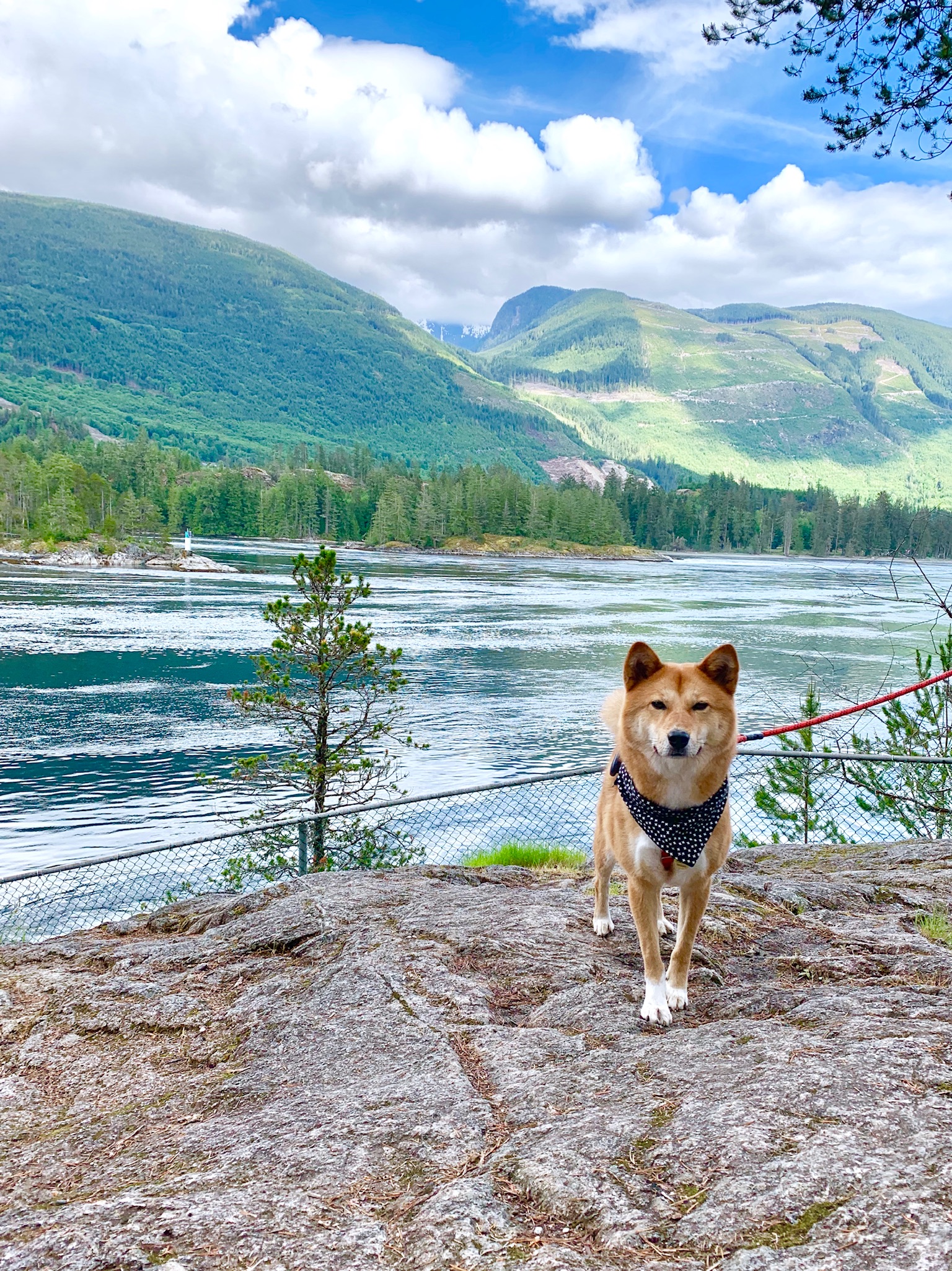 Skookumchuck Narrows
