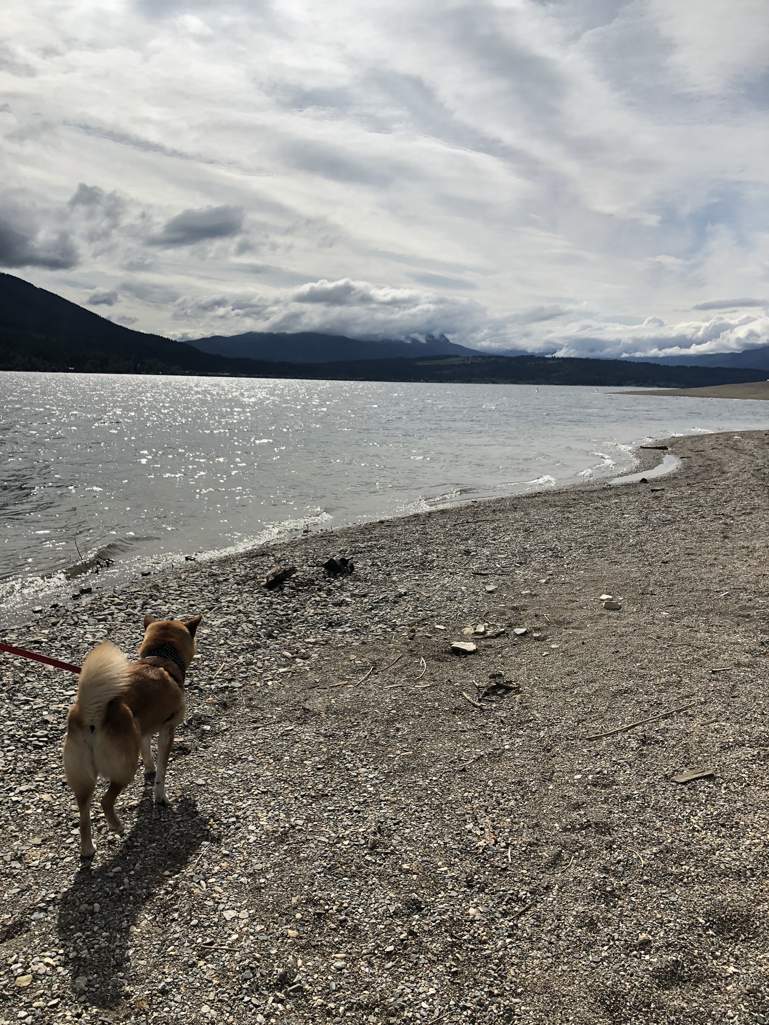 Markus walking along the beach at the Herald Provincial Park, British Columbia