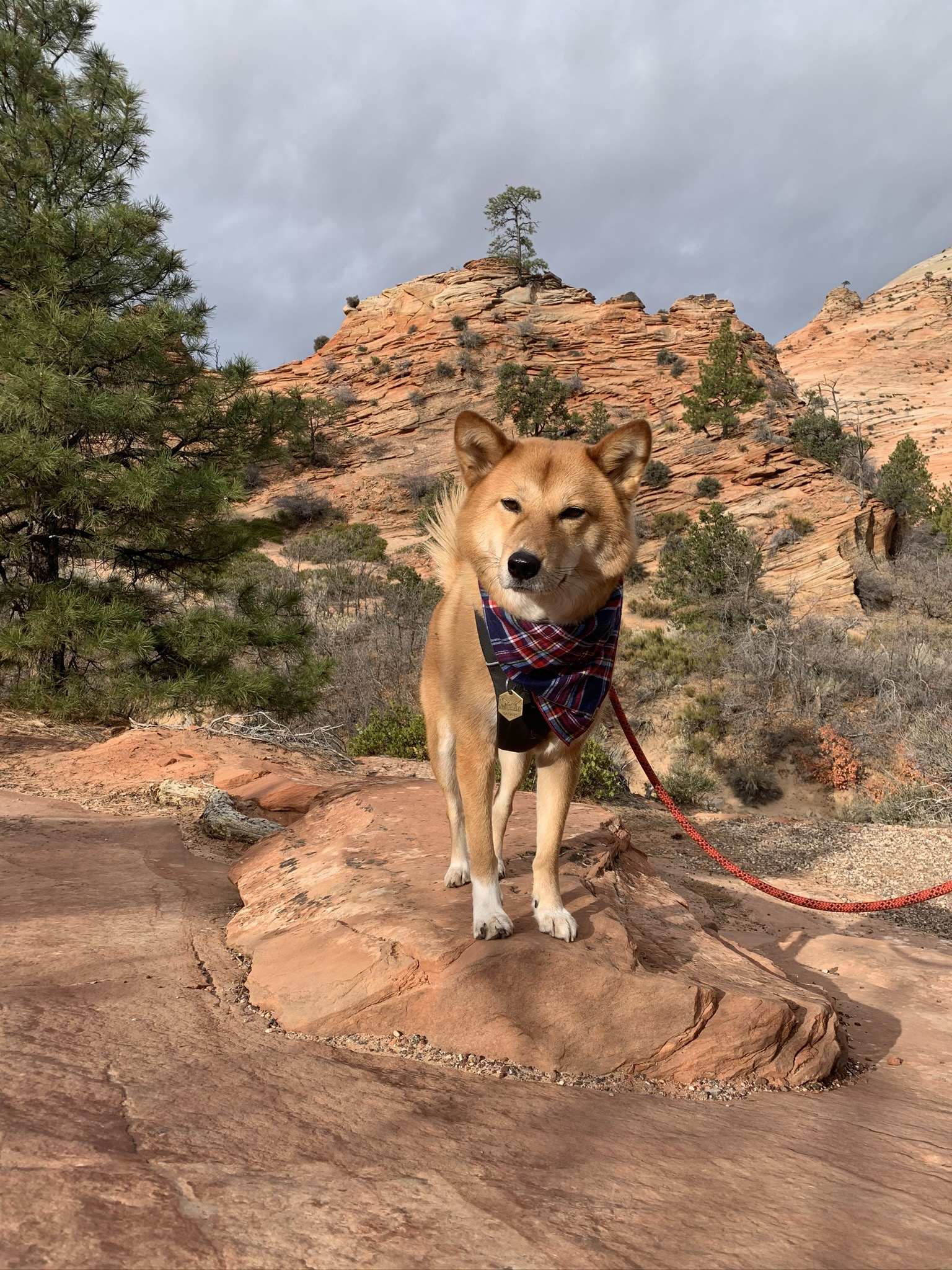 Markus at Zion National Park and not really sure why we like rocks so much