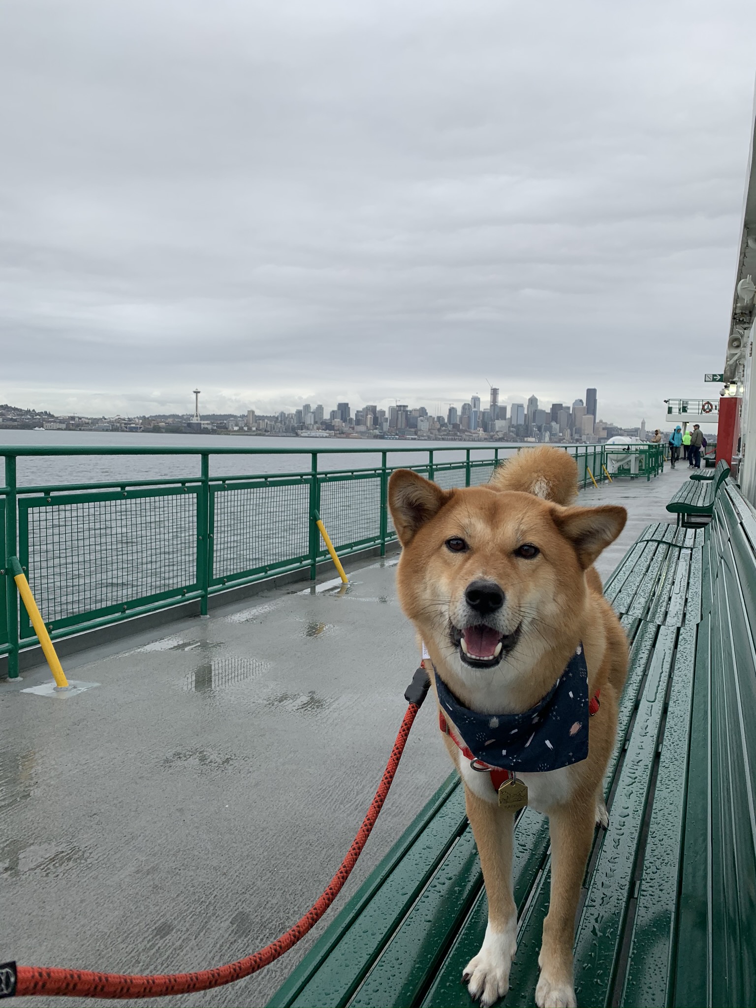 Riding The BC & Washington State Ferries with a dog