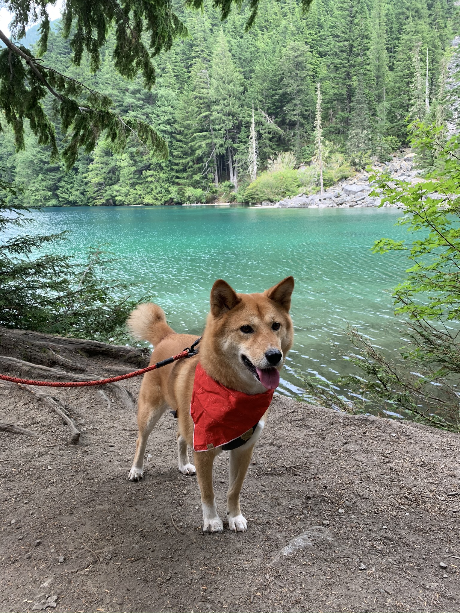 Whether it’s going on the road or something more local like  Lindeman Lake , there’s so much to discover!