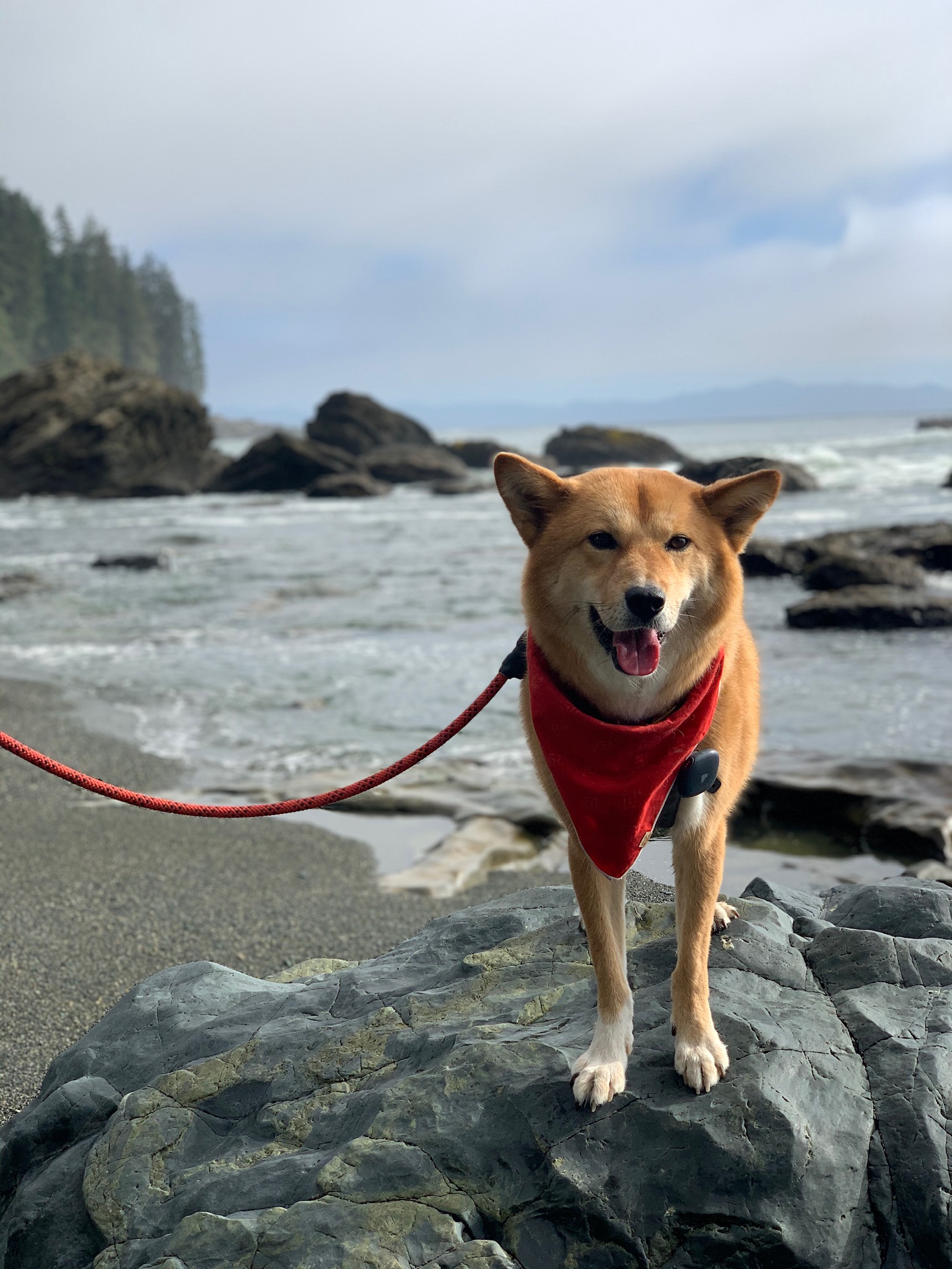 Markus smiling quietly to himself along Sombrio Beach
