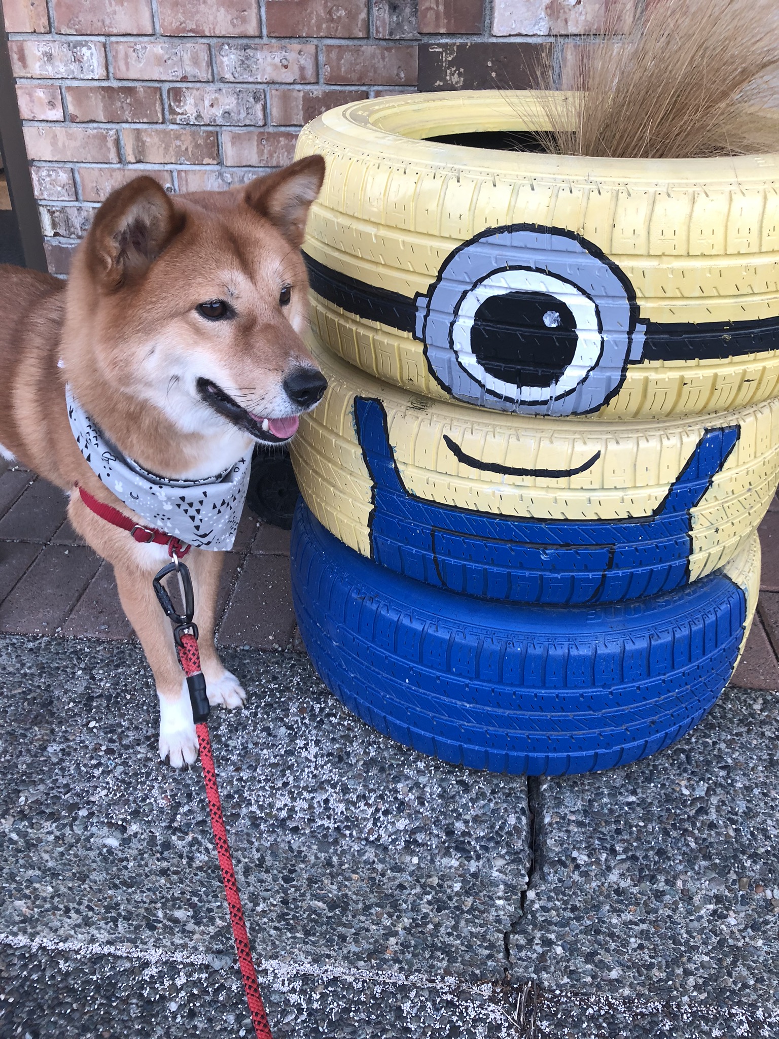 Markus posing with his new rubbery attitude minion friend in Steveston Village