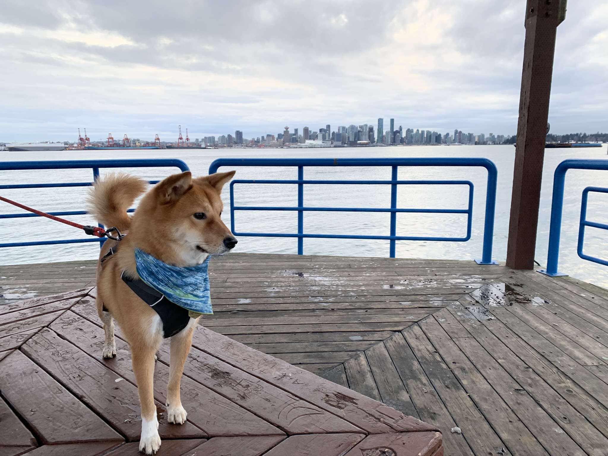 Markus standing on a bench in the gazebo-like structure in Waterfront Park, North Vancouver