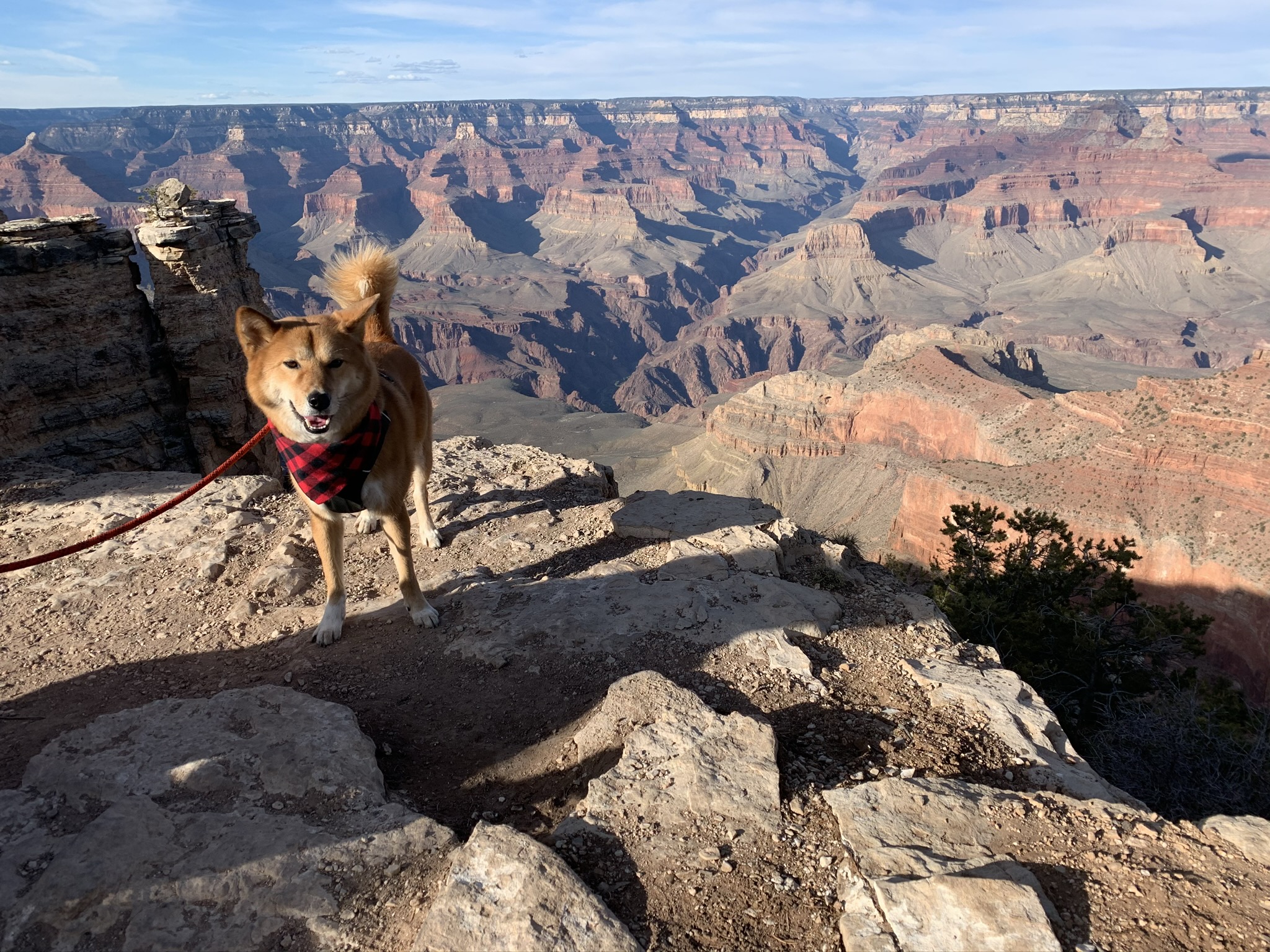 Markus smiling on the Rim Trail off the Grand Canyon Visitor Center at the South Rim of the Grand Canyon
