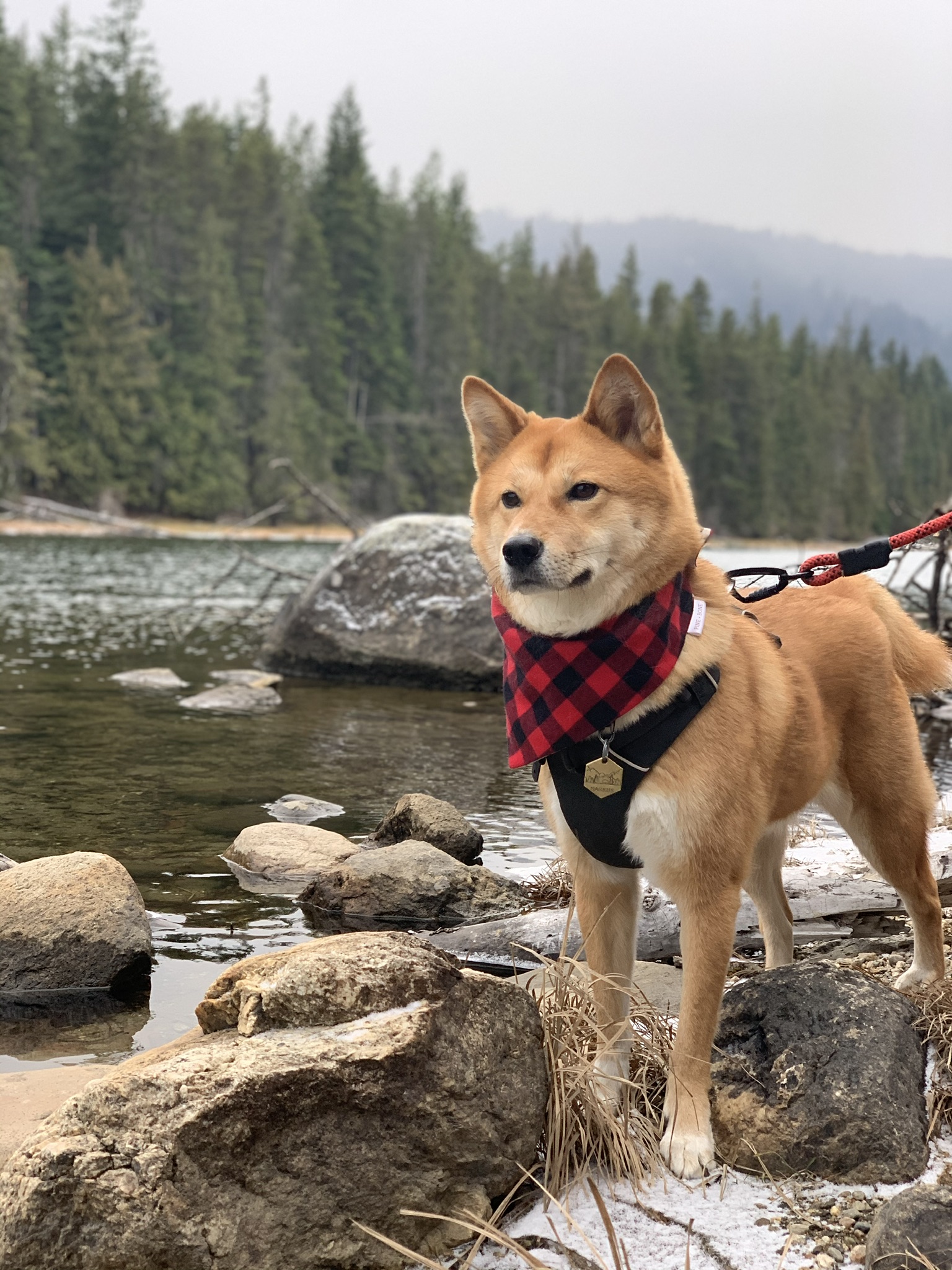 Markus standing in front of the Wenatchee River at Wallace Falls State Park