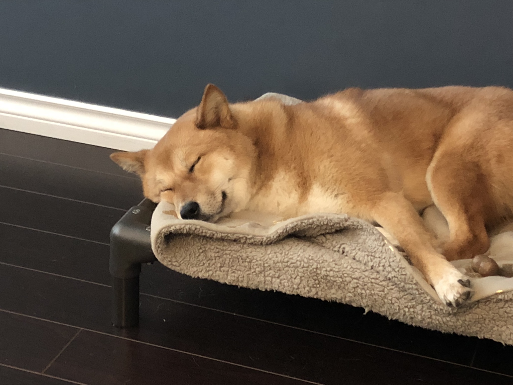 The Kuranda, The Tennis Court, The Door Greets and the End of Dark Clothing