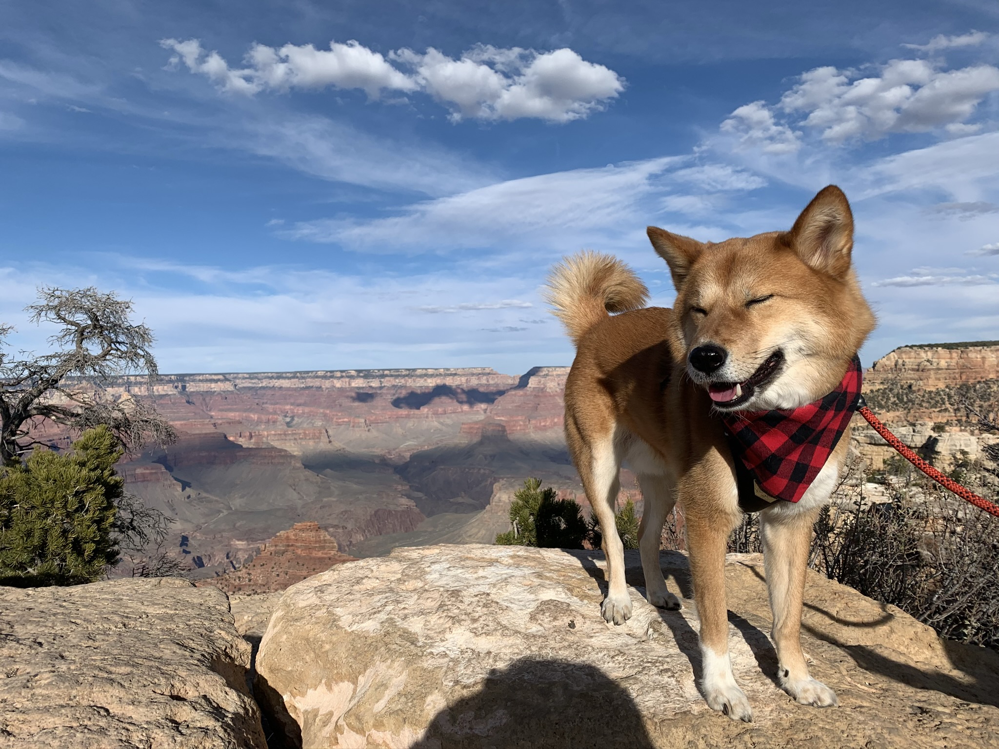 Markus smiling along the South Rim of the Grand Canyon National Park, Arizona