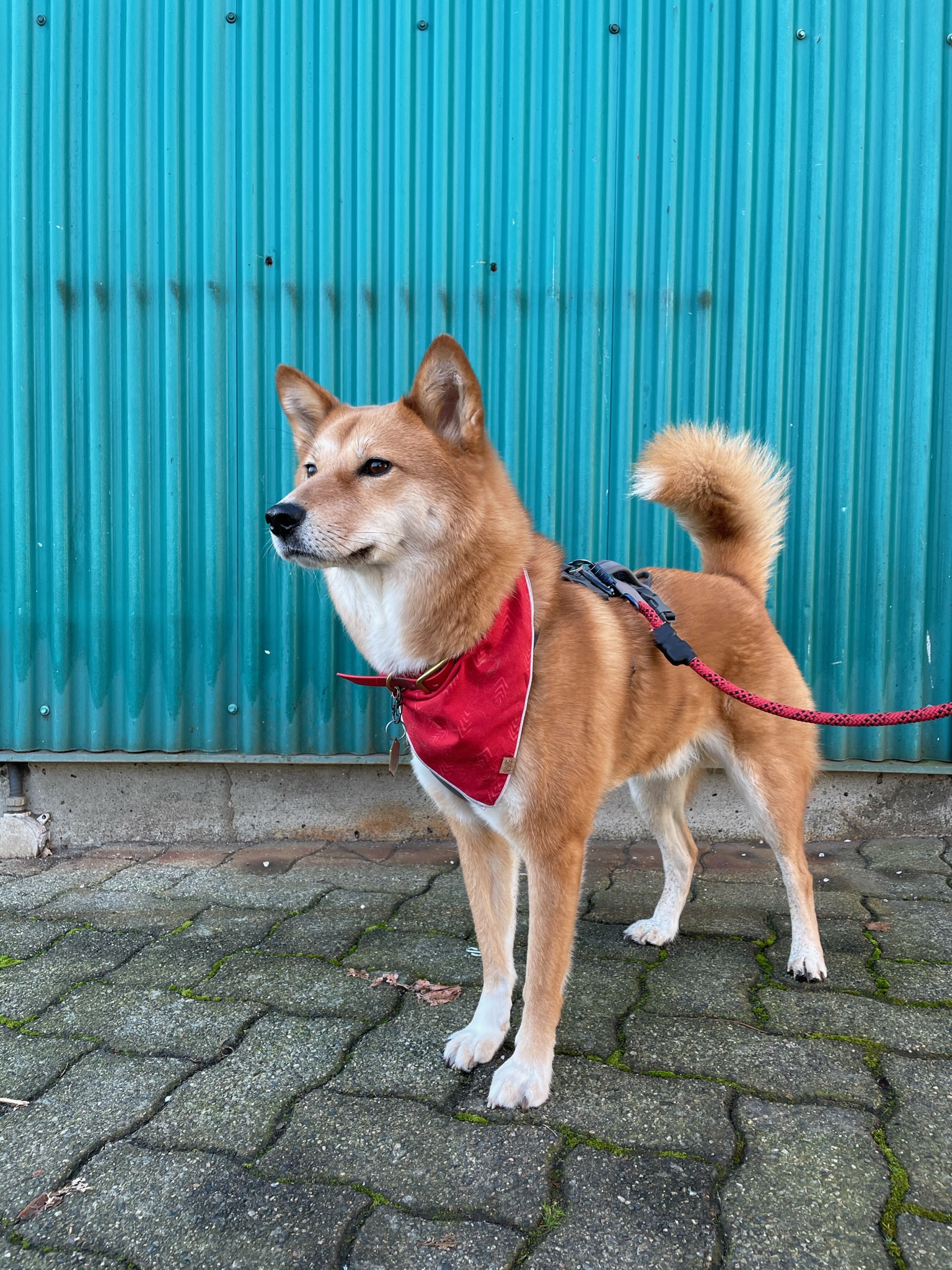 Markus looking brighter standing next to a bright turquoise wall