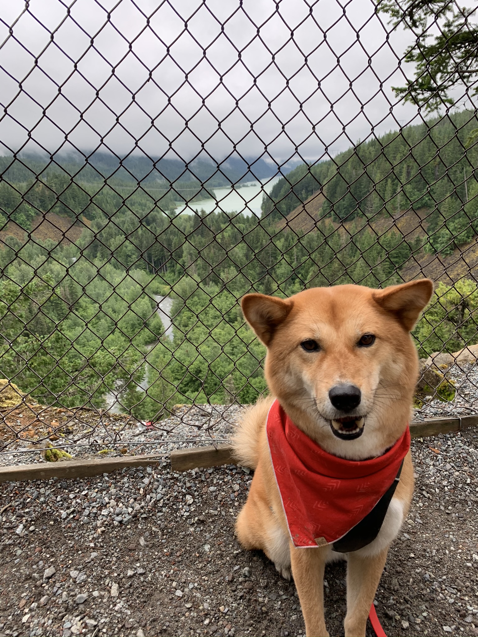Markus checking out the view on the far end of Brandywine Falls that overlook Daisy Lake
