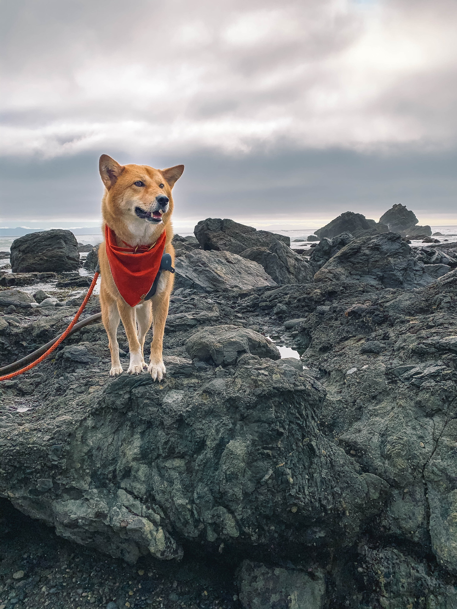 Turning the Page to 2021