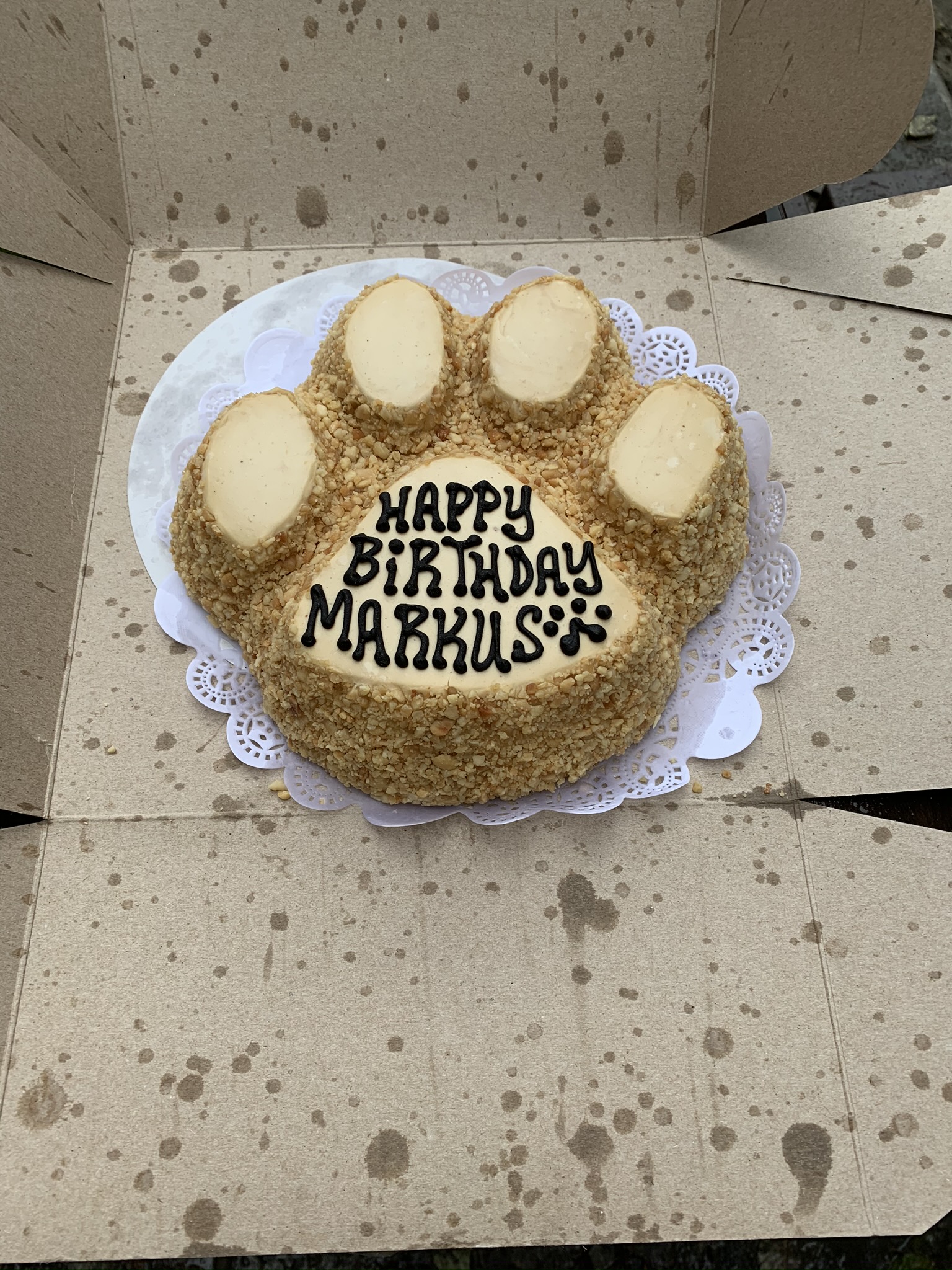 A paw-shaped birthday cake for Markus from  Three Dog Bakery