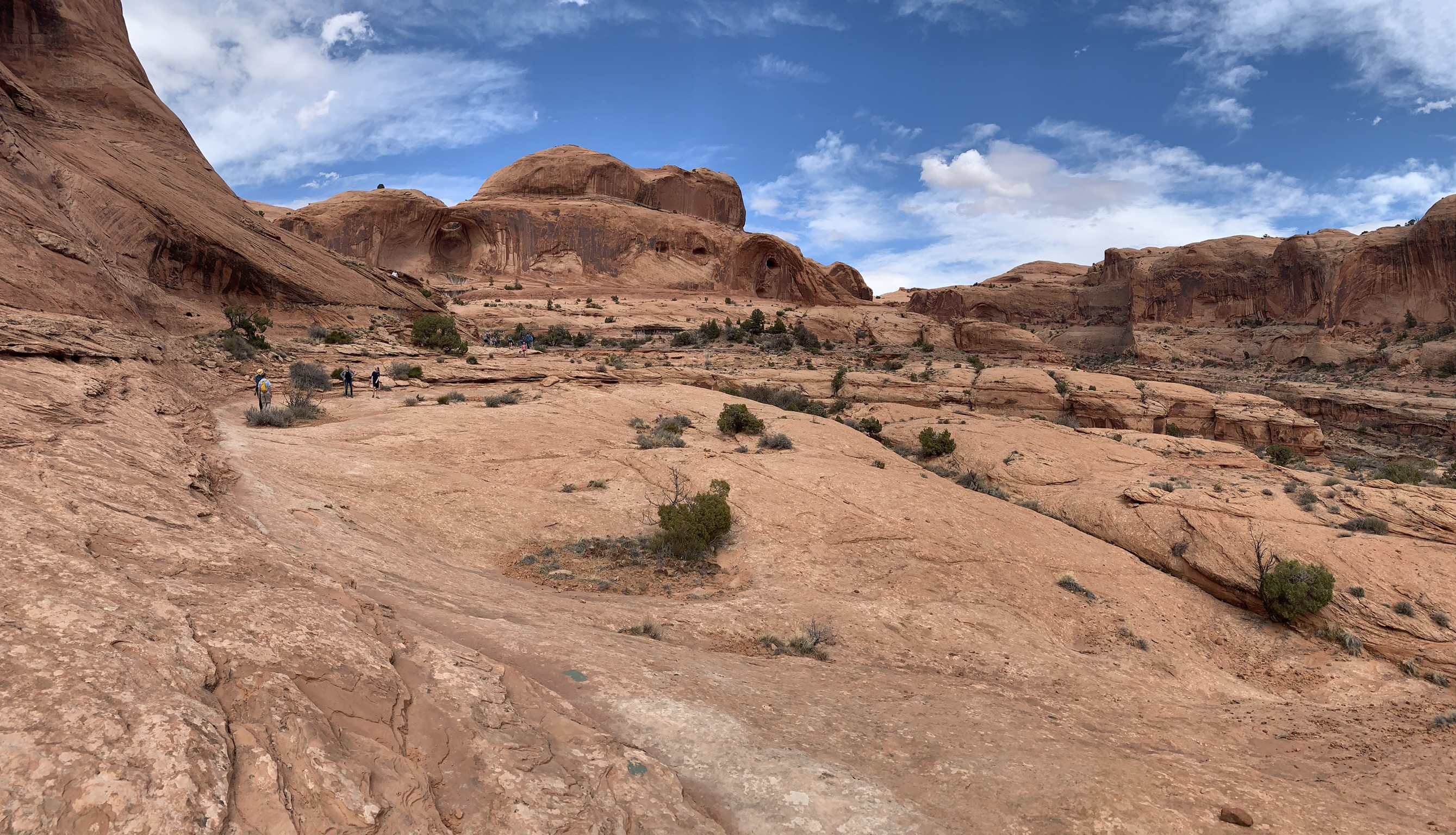 The path on the Corona Arch & Bowtie Arch Trail is marked with green paint on the along the ground