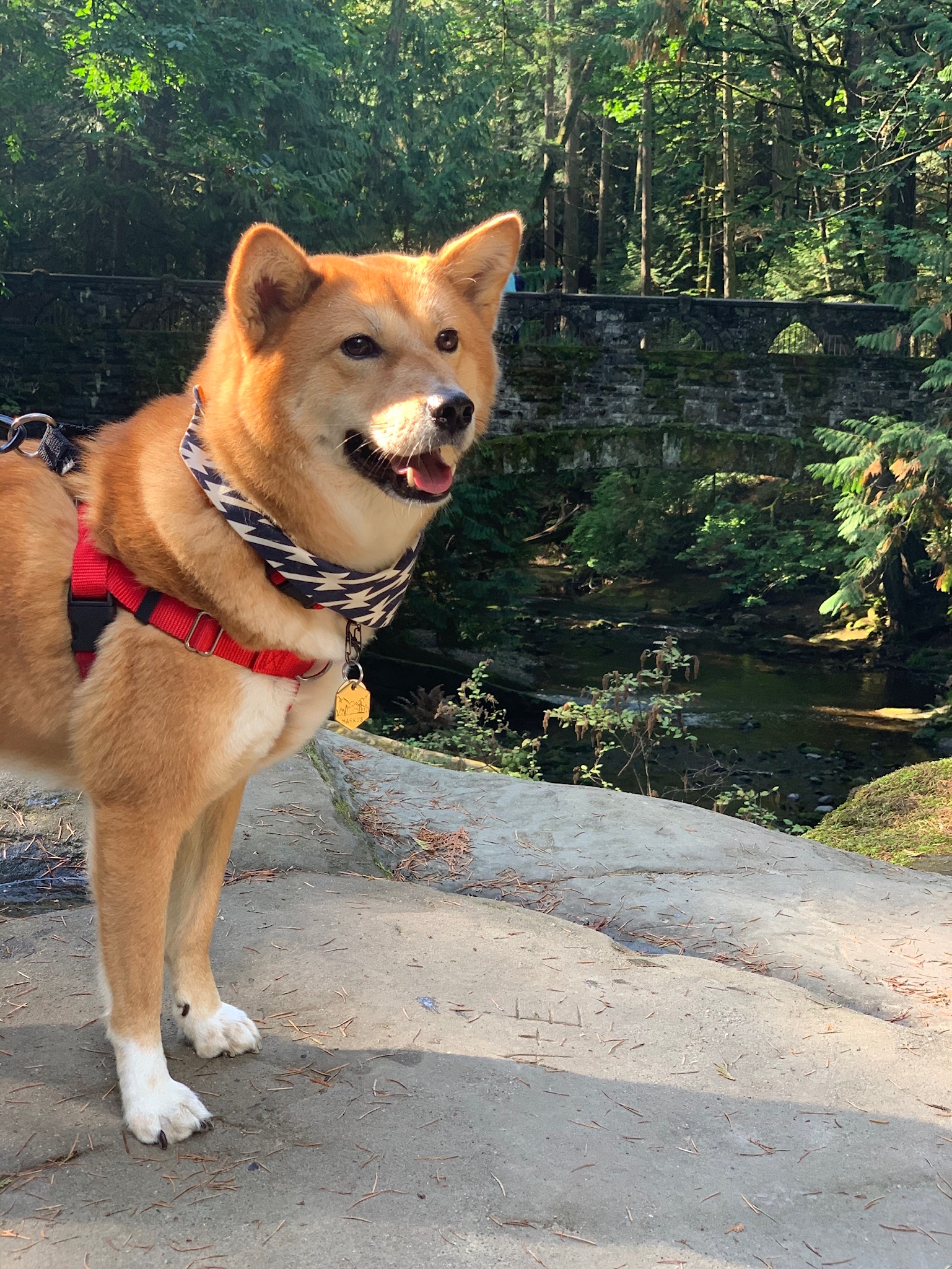 Markus standing in front of the beautiful stone bridge at Whatcom Falls Park