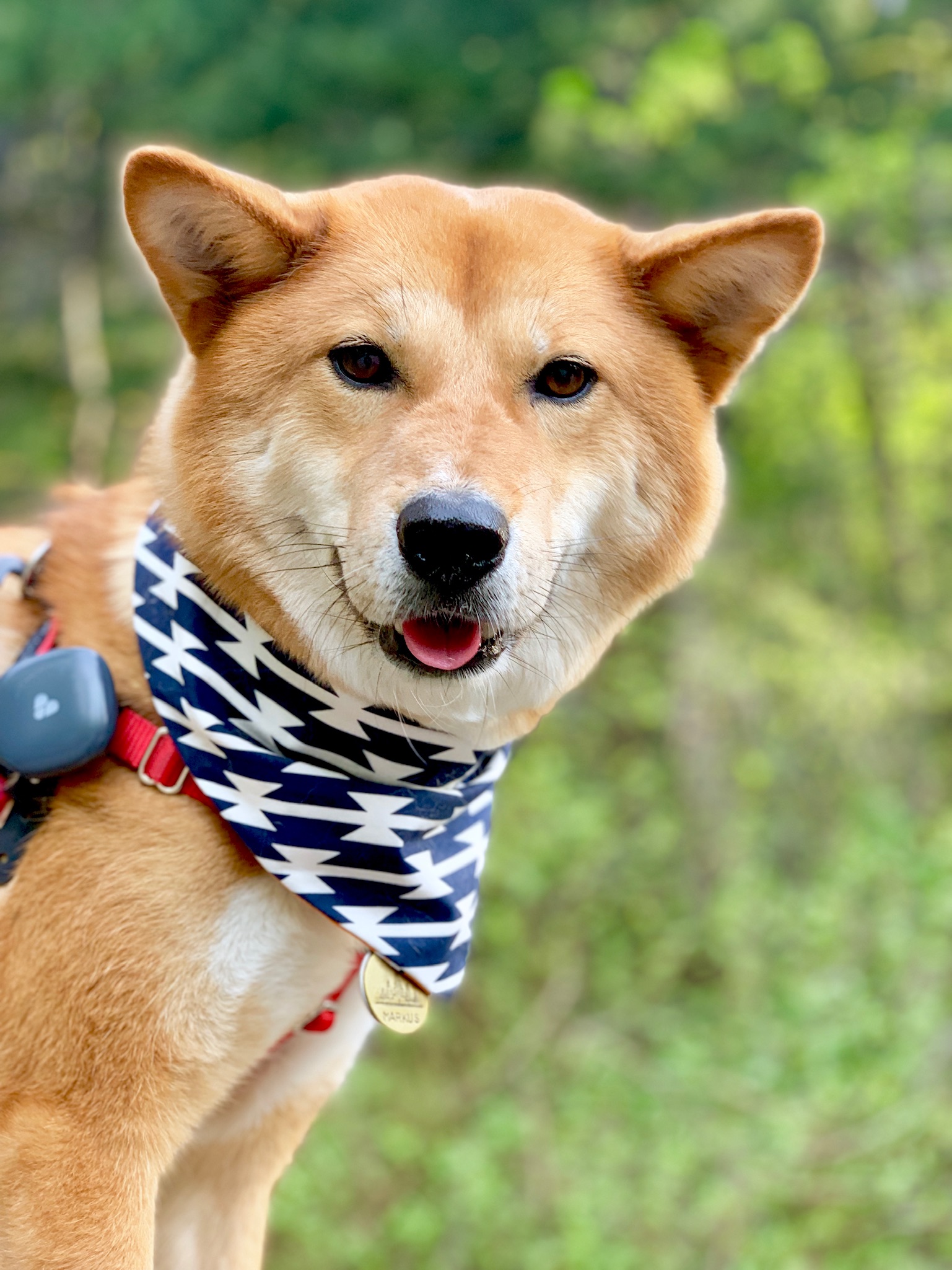 Markus smiling knowing he can run freely without losing us because of the  Findster Pet Tracker !