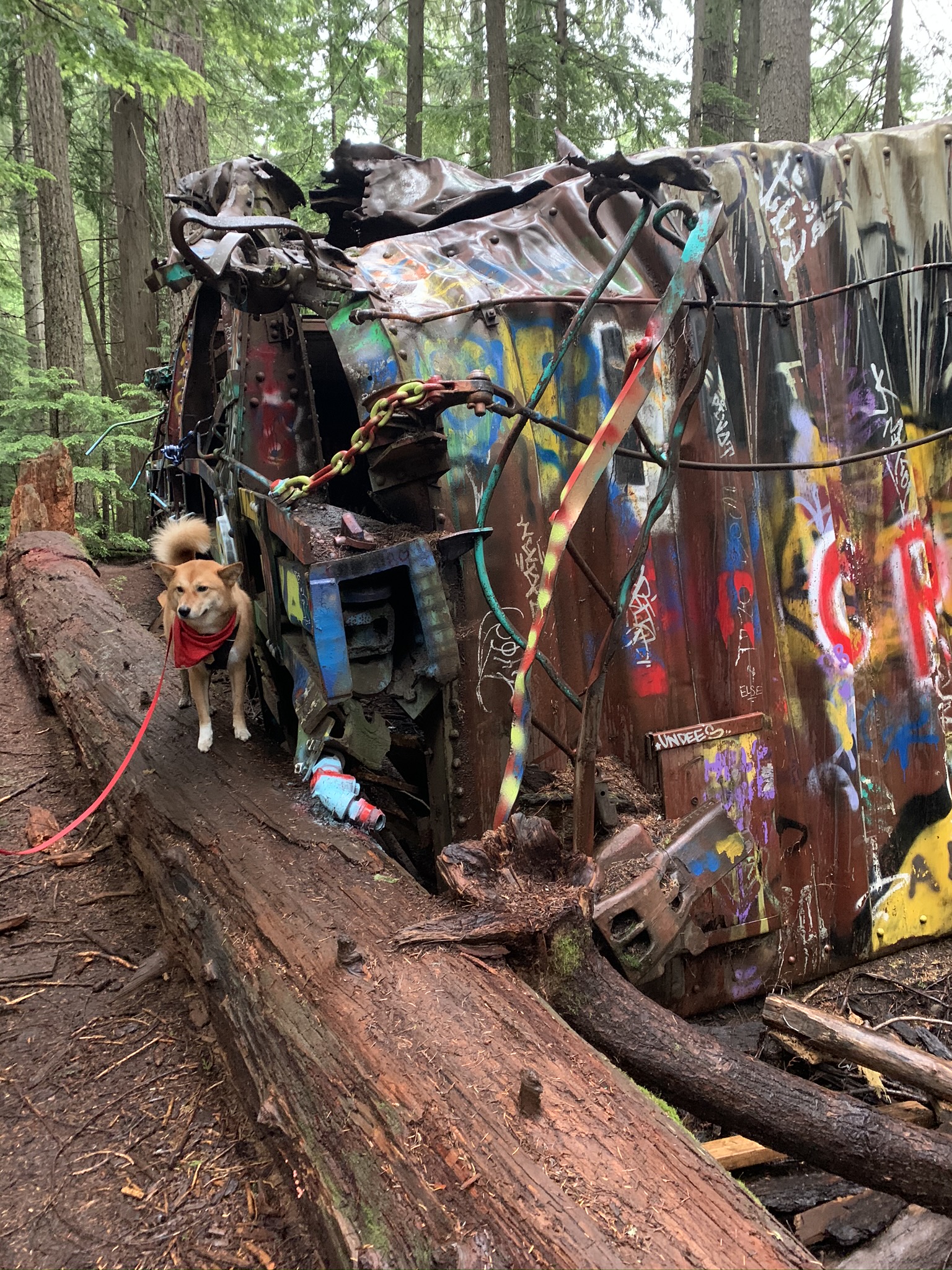 Markus posing in front of a crashed boxcar at Train Wreck Trail