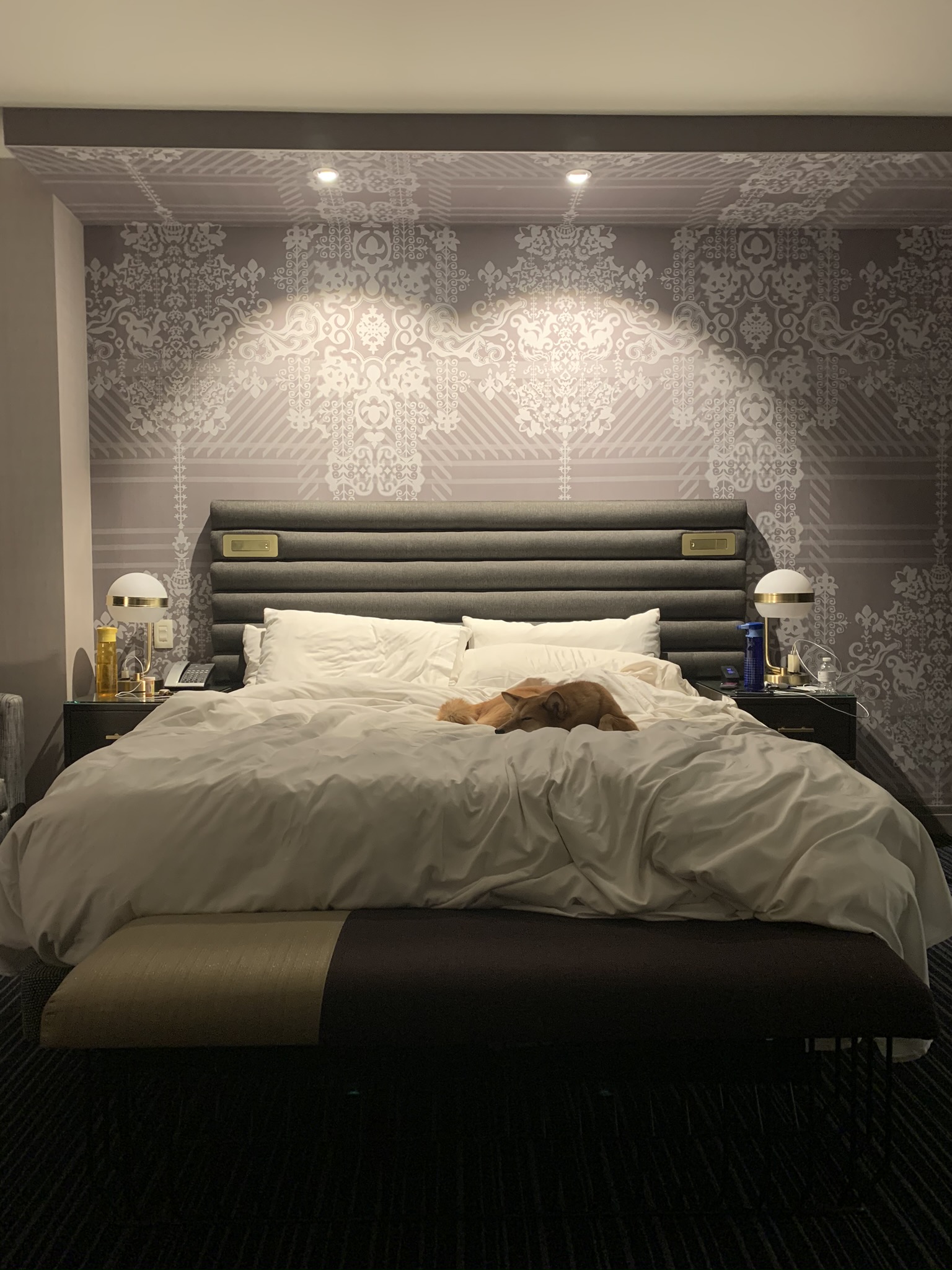 Markus sleeping on our bed at The Cosmopolitan in Las Vegas