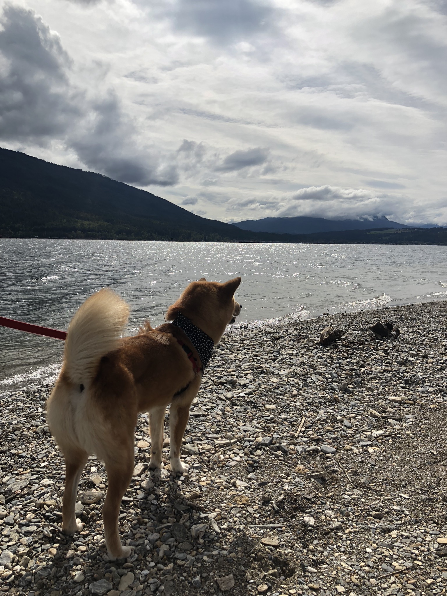 2019 New Year's Resolutions