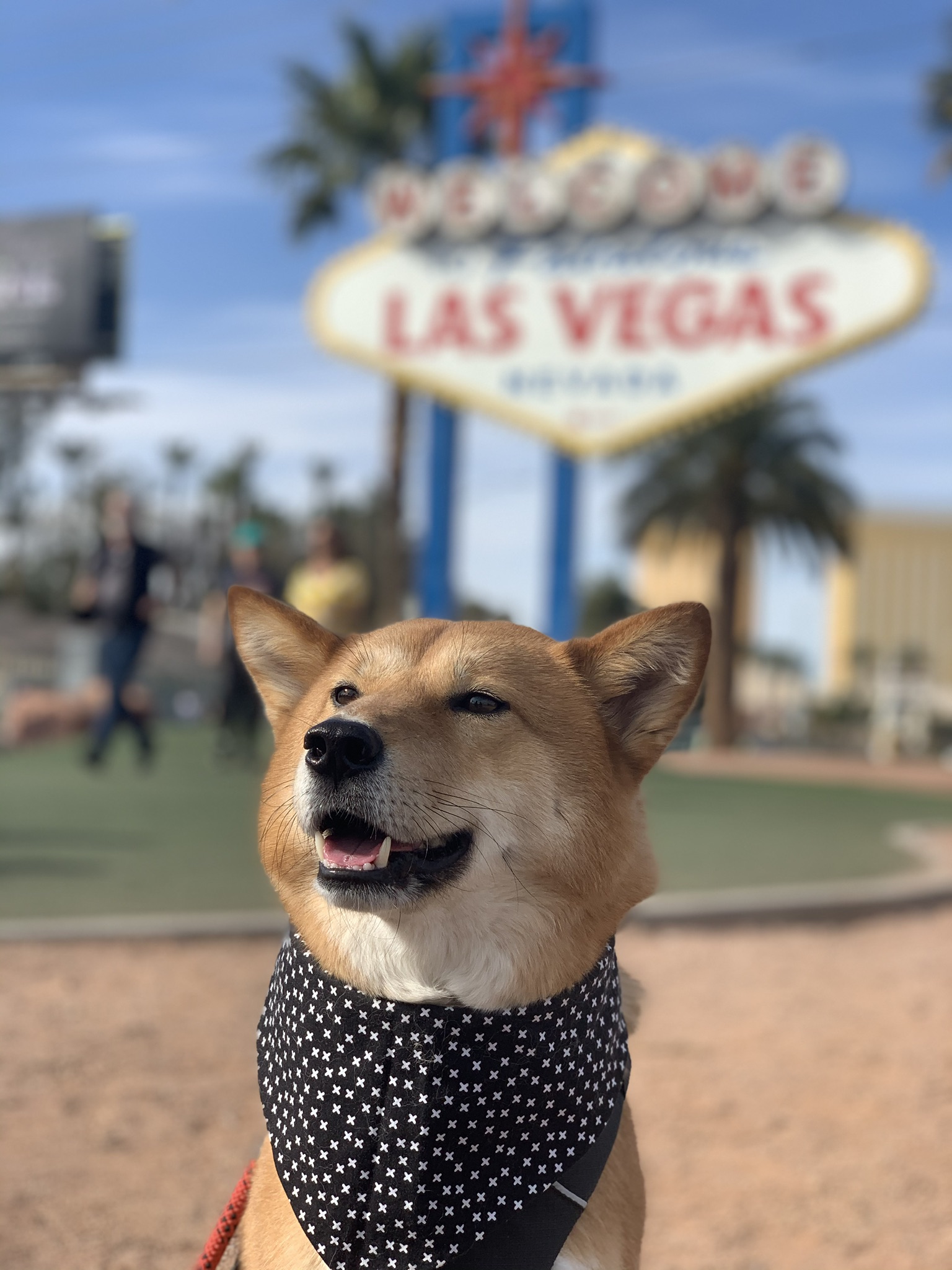 Markus posing in front of the famous Welcome to Fabulous Las Vegas sign