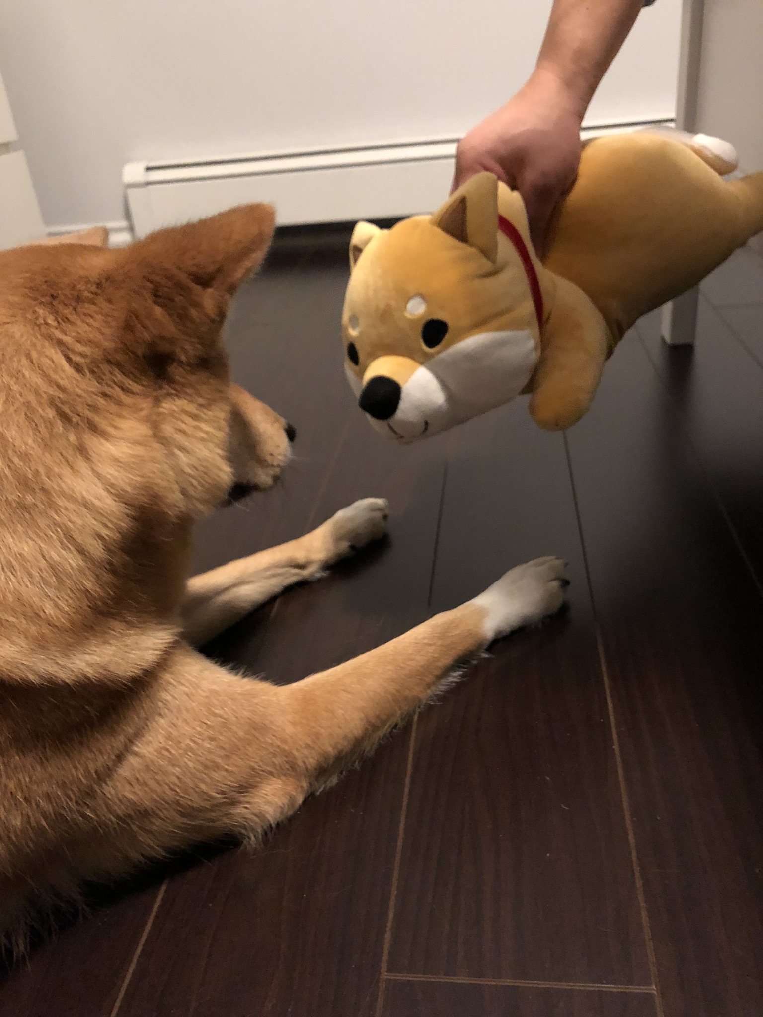 Markus meeting a friend we brought back from Hong Kong