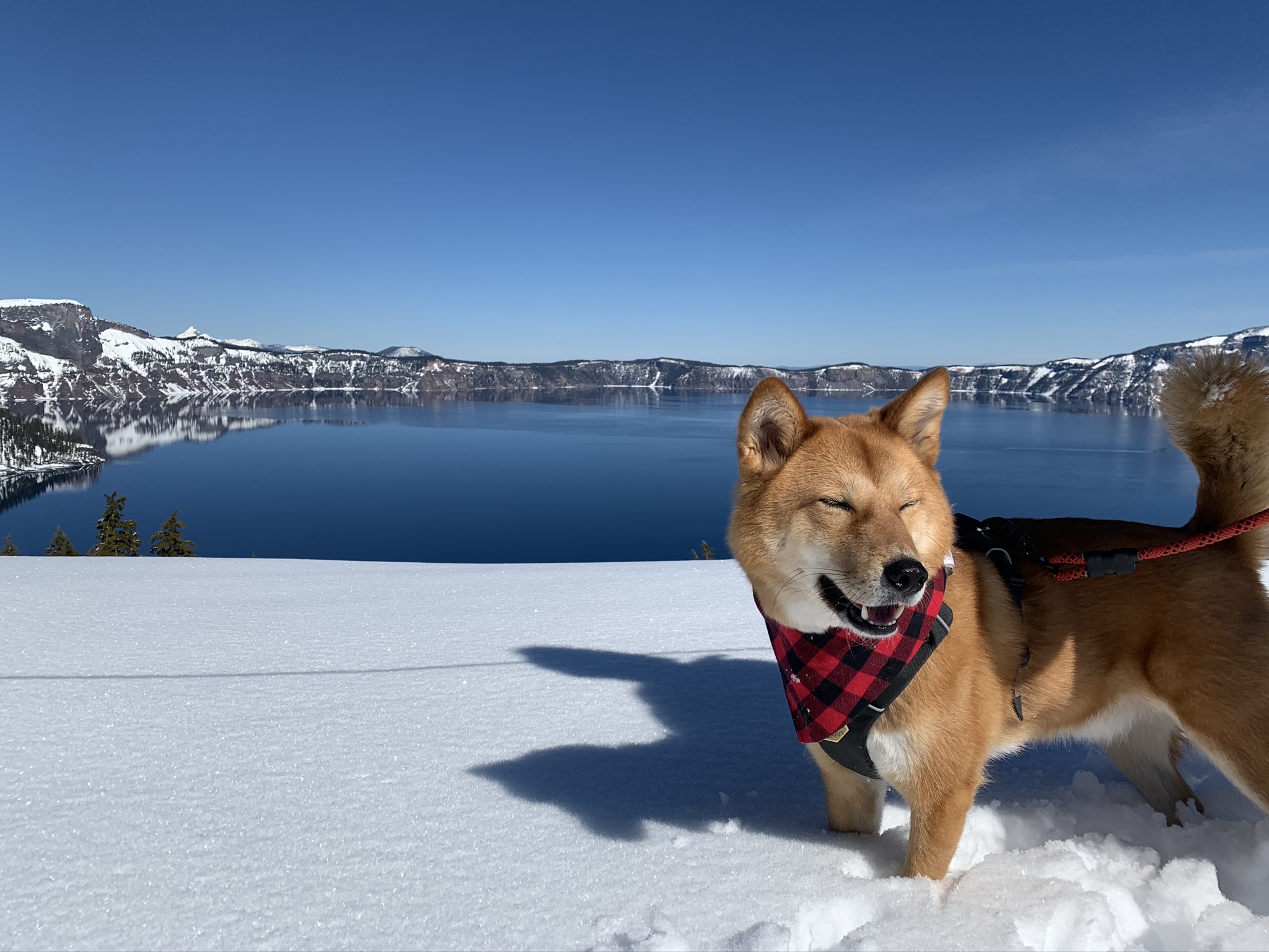 From Utah to Vancouver