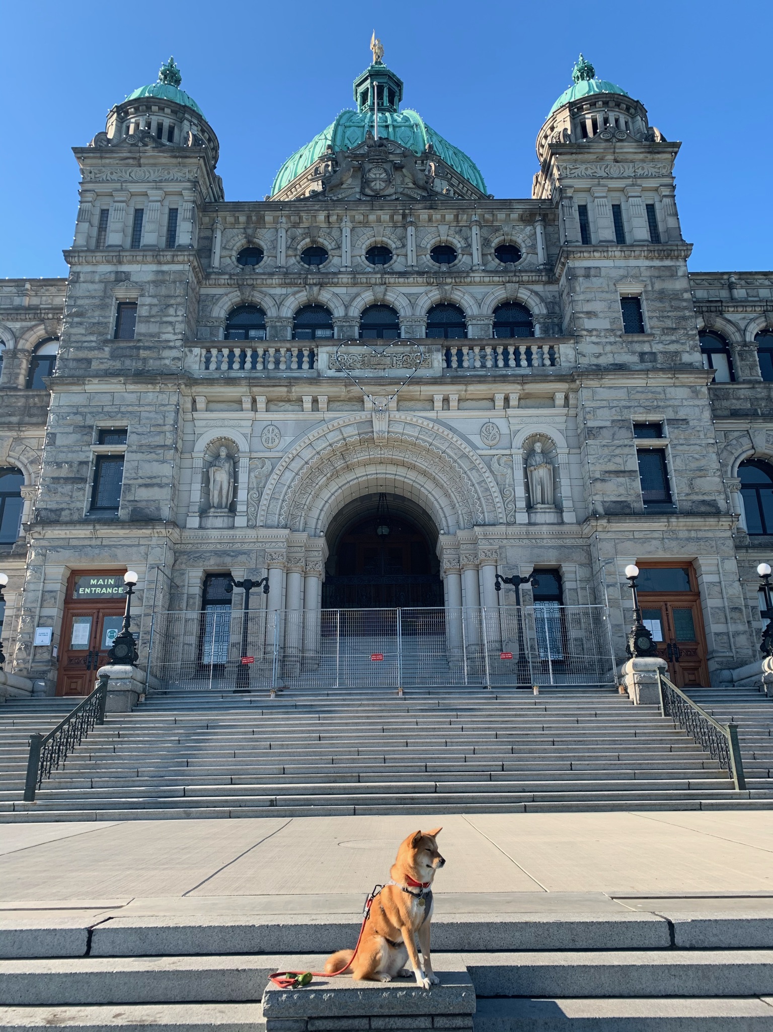 Markus sitting nicely in front of the Legislative Assembly of British Columbia