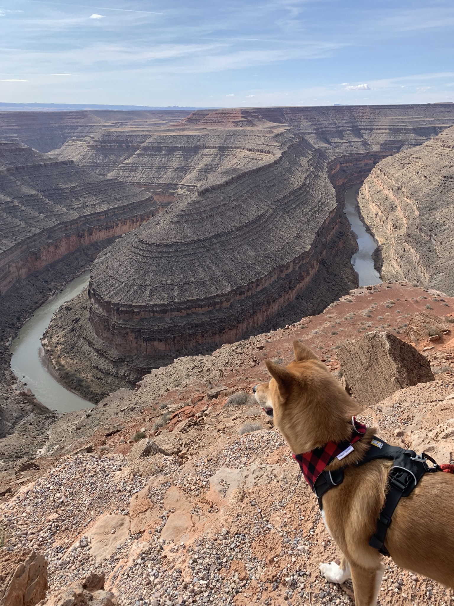 Goosenecks State Park, Utah