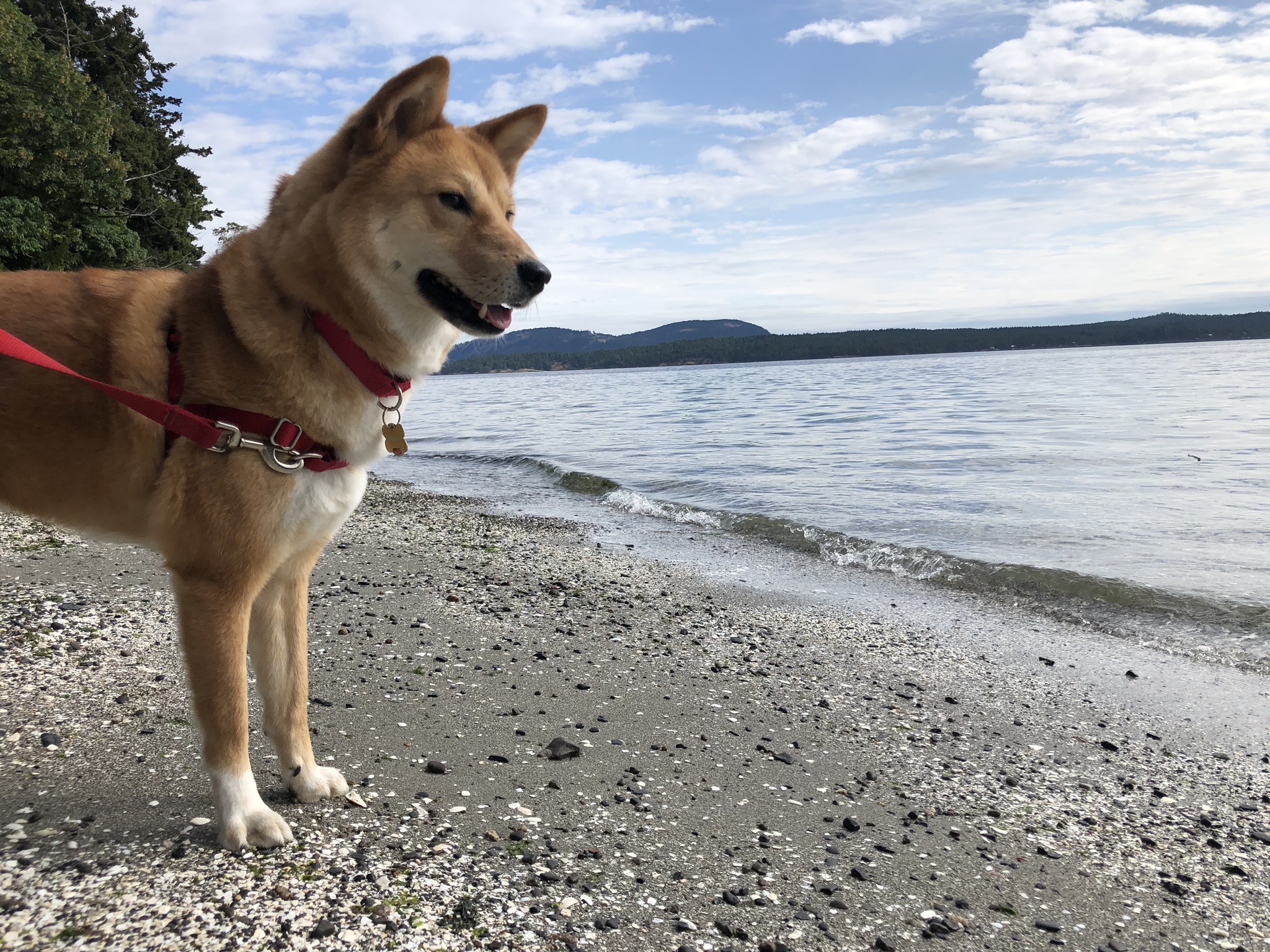 Markus enjoying the beach view at Salt Spring Island