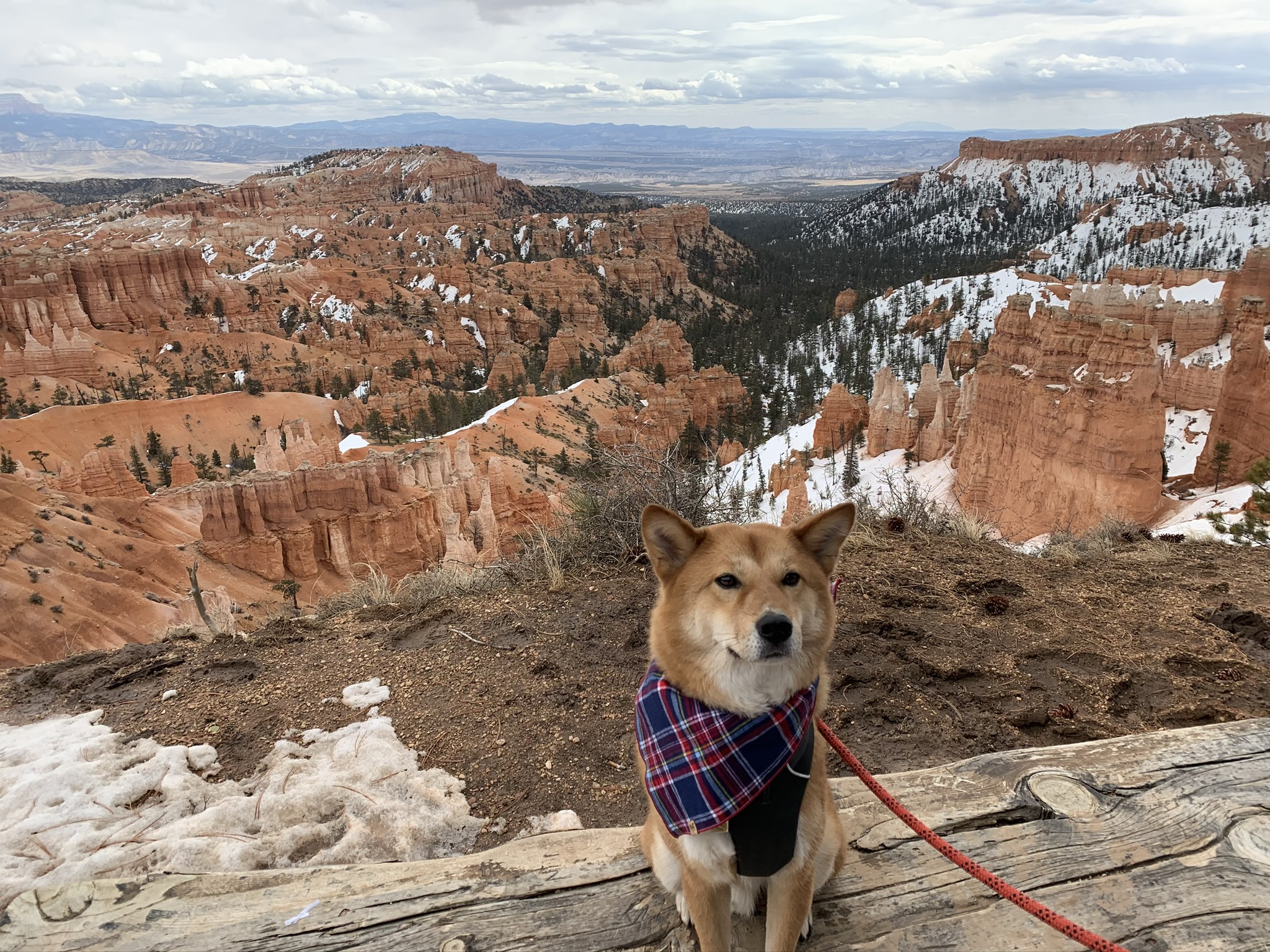 Bryce Canyon National Park, Utah