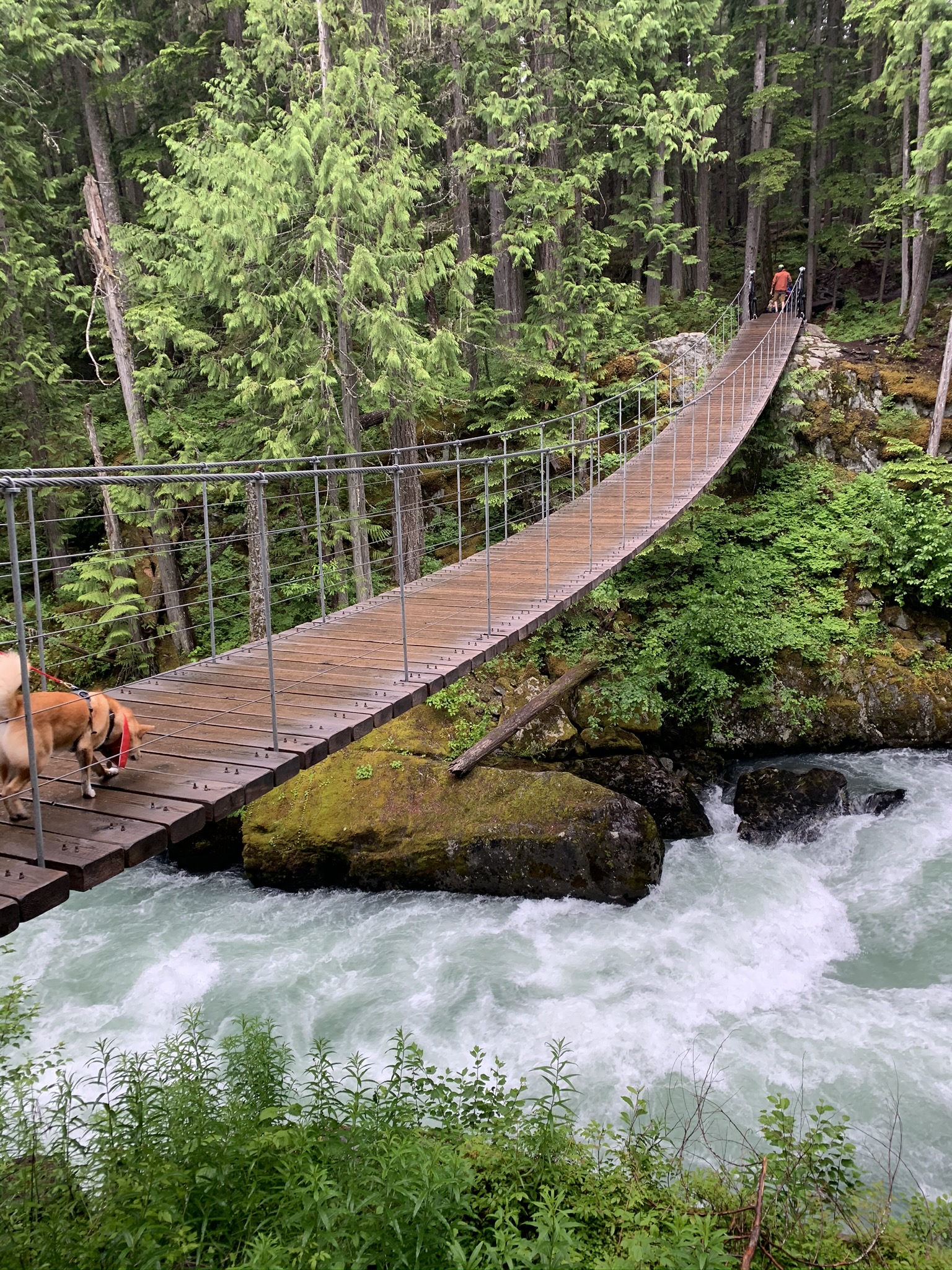 Markus carefully crossing the suspension bridge along Train Wreck Trail