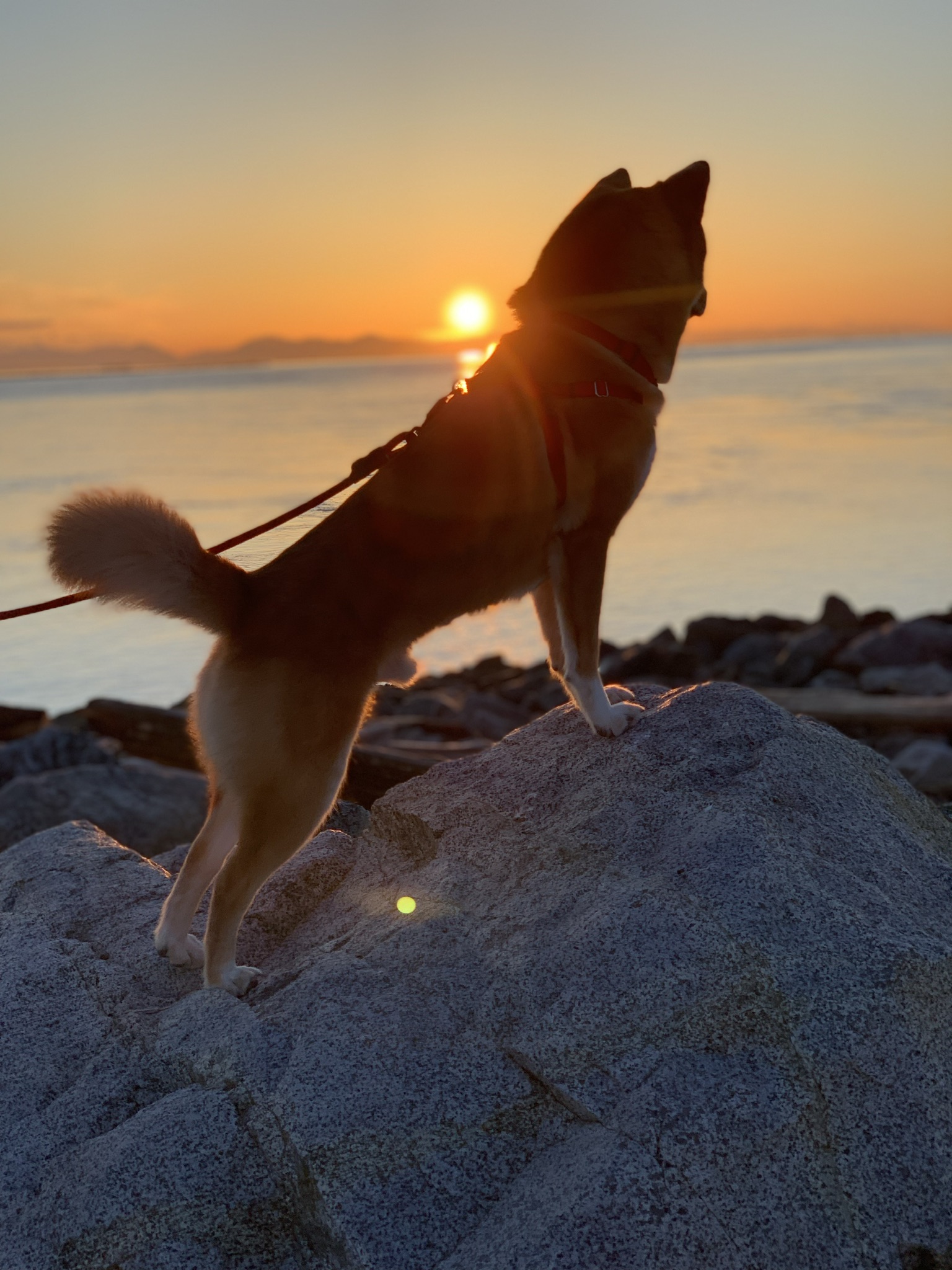 Garry Point Park & Steveston Village
