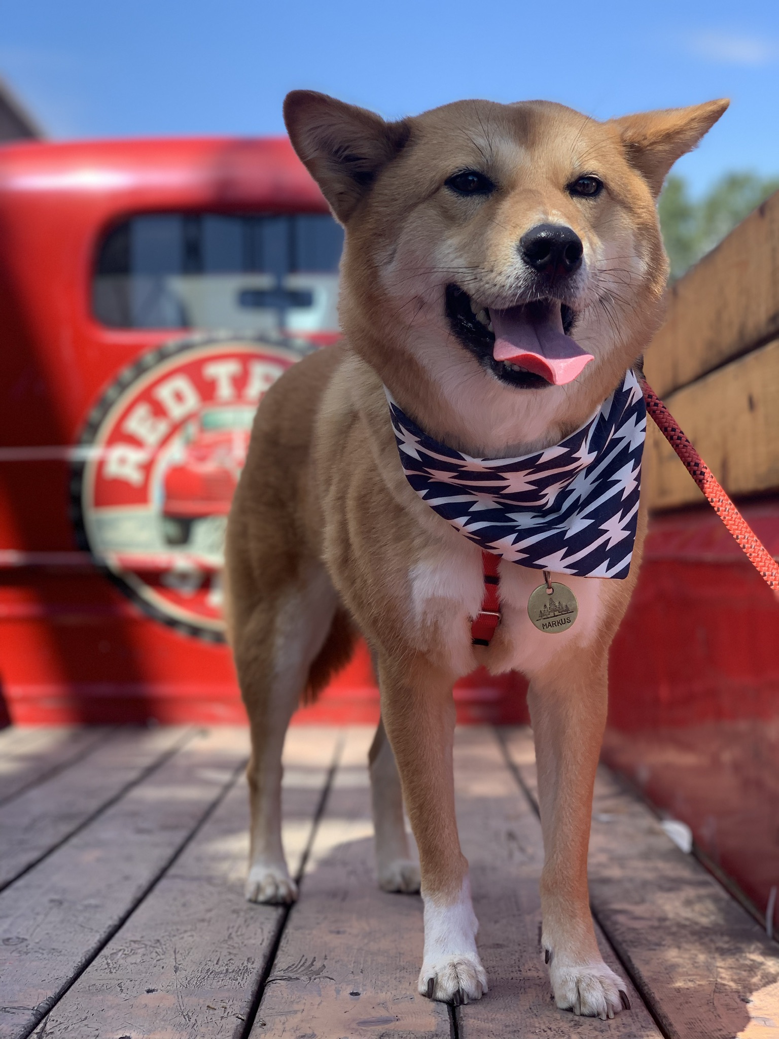 Red Truck Beer, UBC Walks, A New Couch & Deer Lake Park