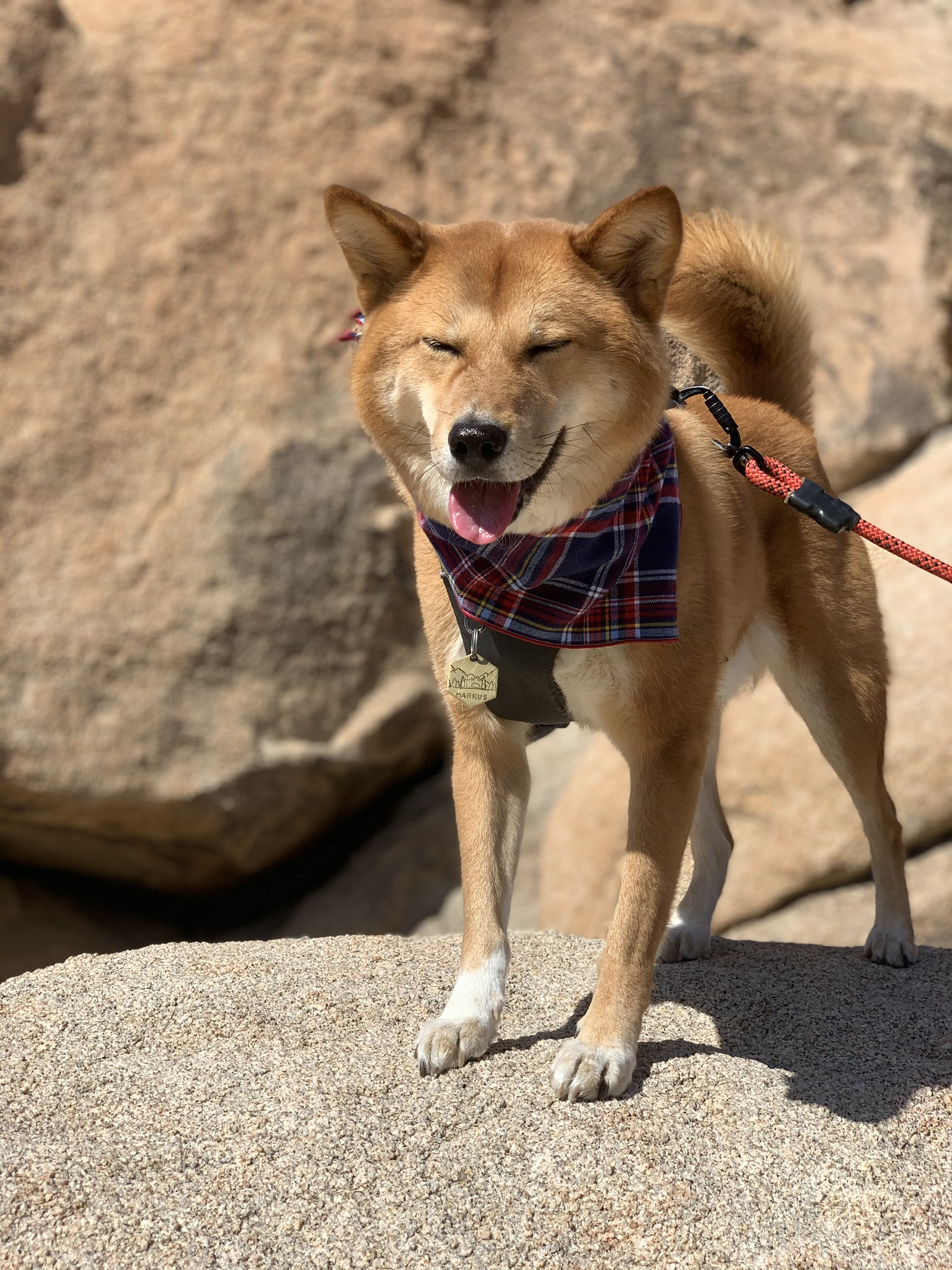 Markus showing he can still have fun while staying within the rules