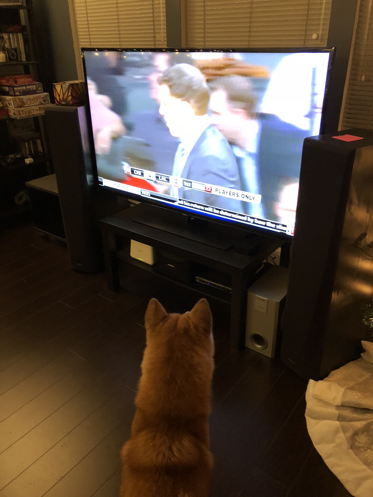 Markus watching TV after finally adjusting to it